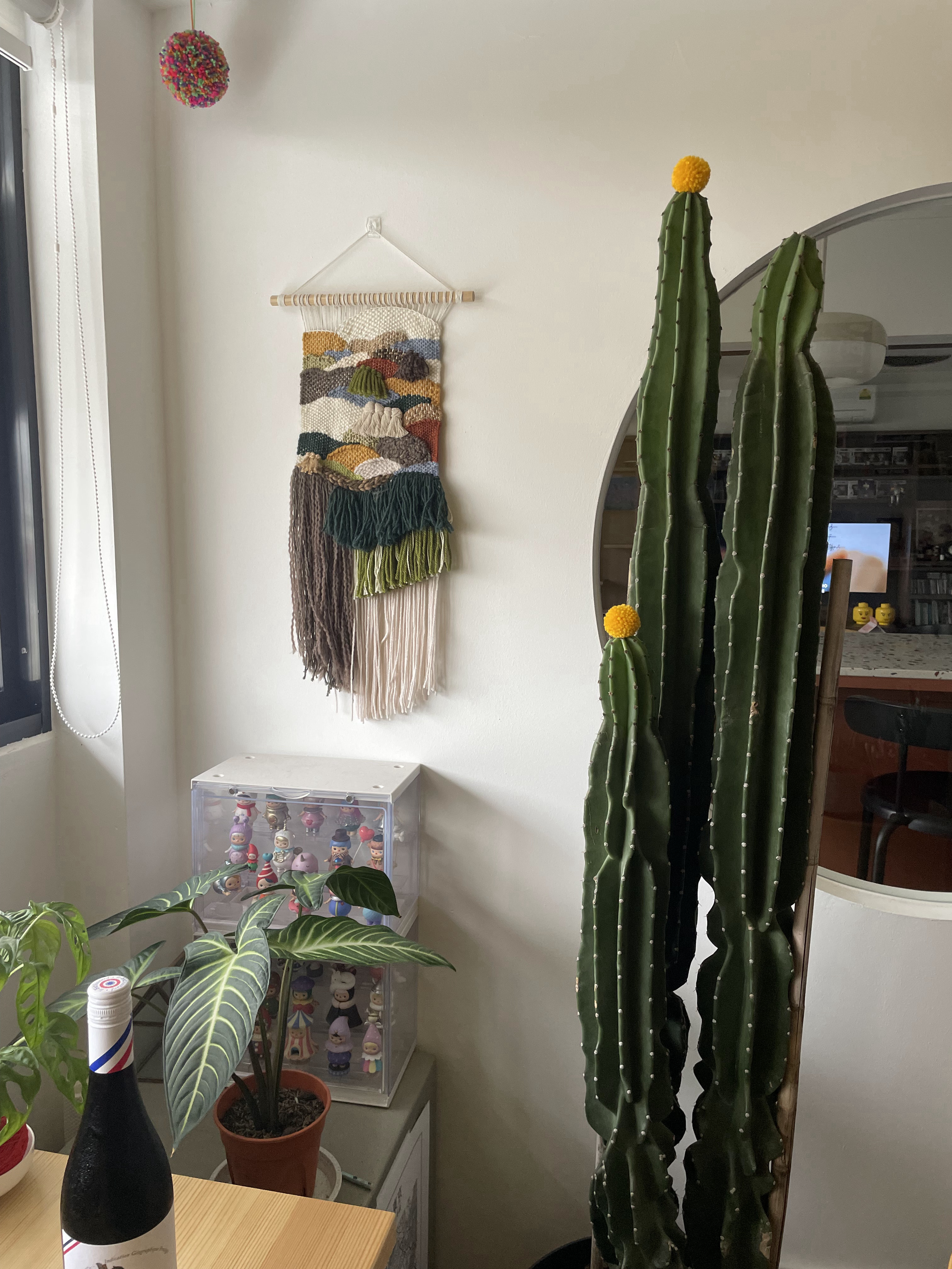 Green thumb wannabes  - Colorful dreamcatcher hanging on the wall, green cactus with yellow top, potted plants on the table