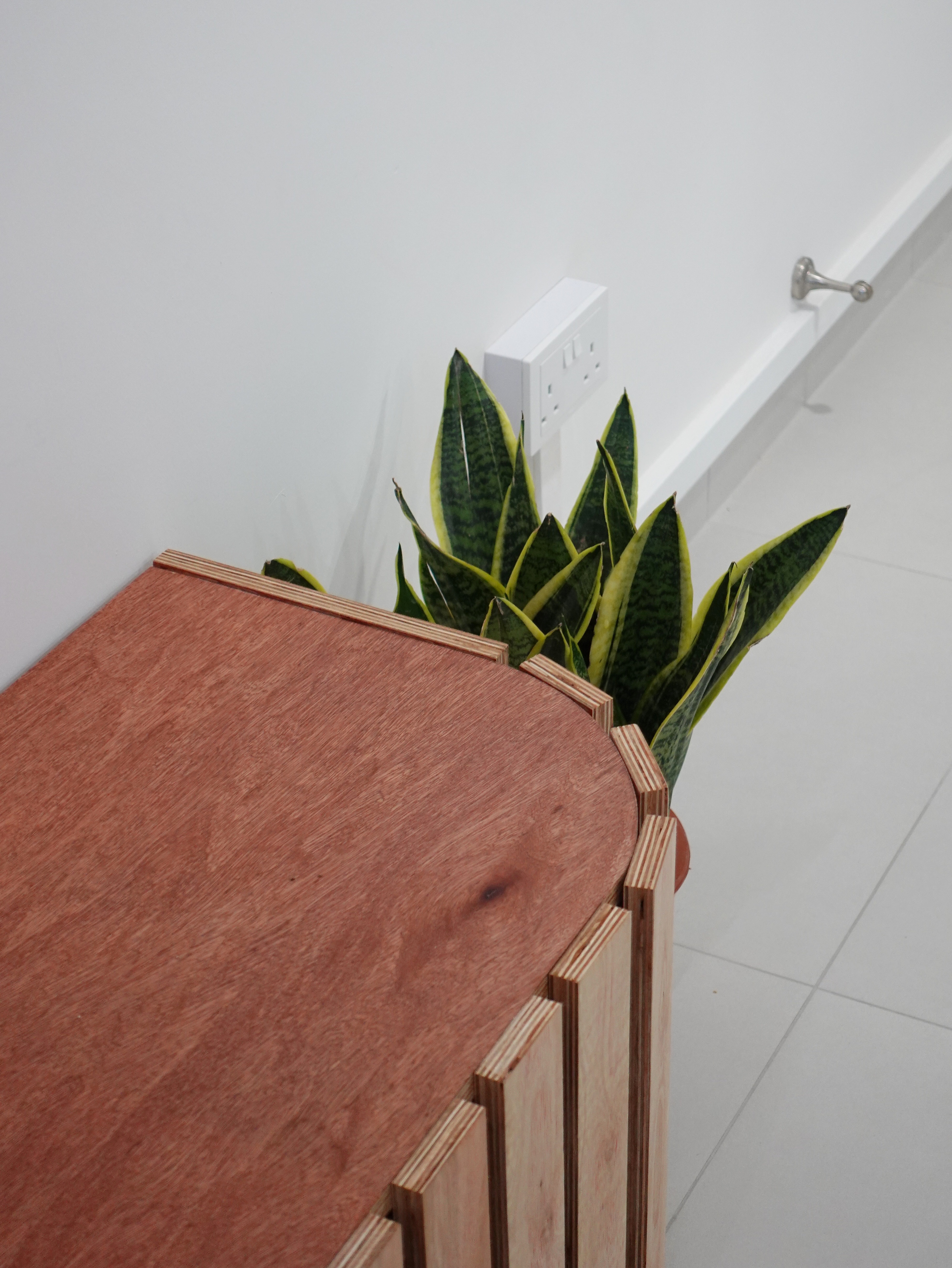 A minimal living room with a full out DIY TV console - Wooden table, green plants, modern interior, minimalist design, wooden