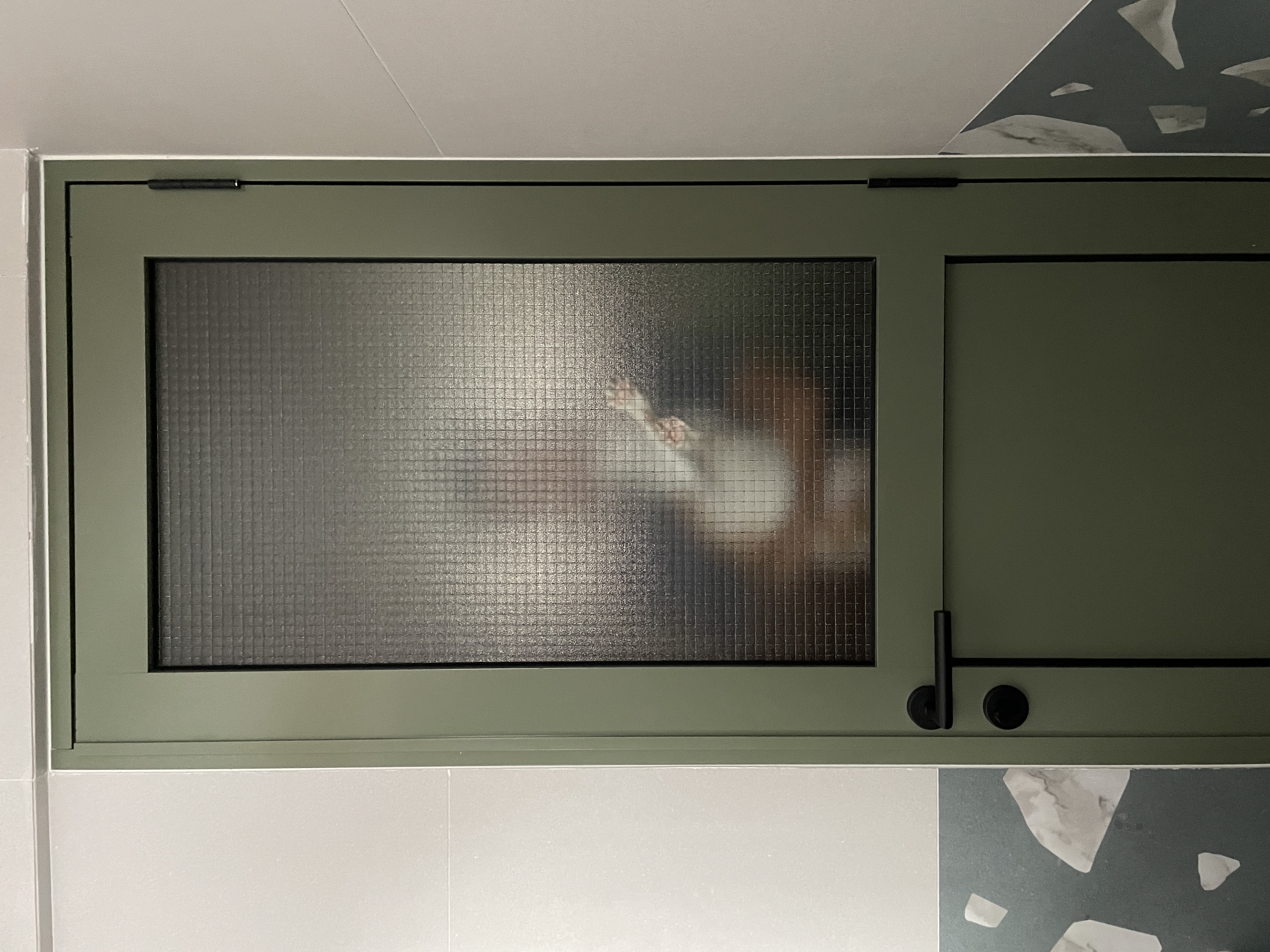 Wired glass - privacy with a fun touch for our toilets - Green cabinet, frosted glass, indoor cat, blurred image, window