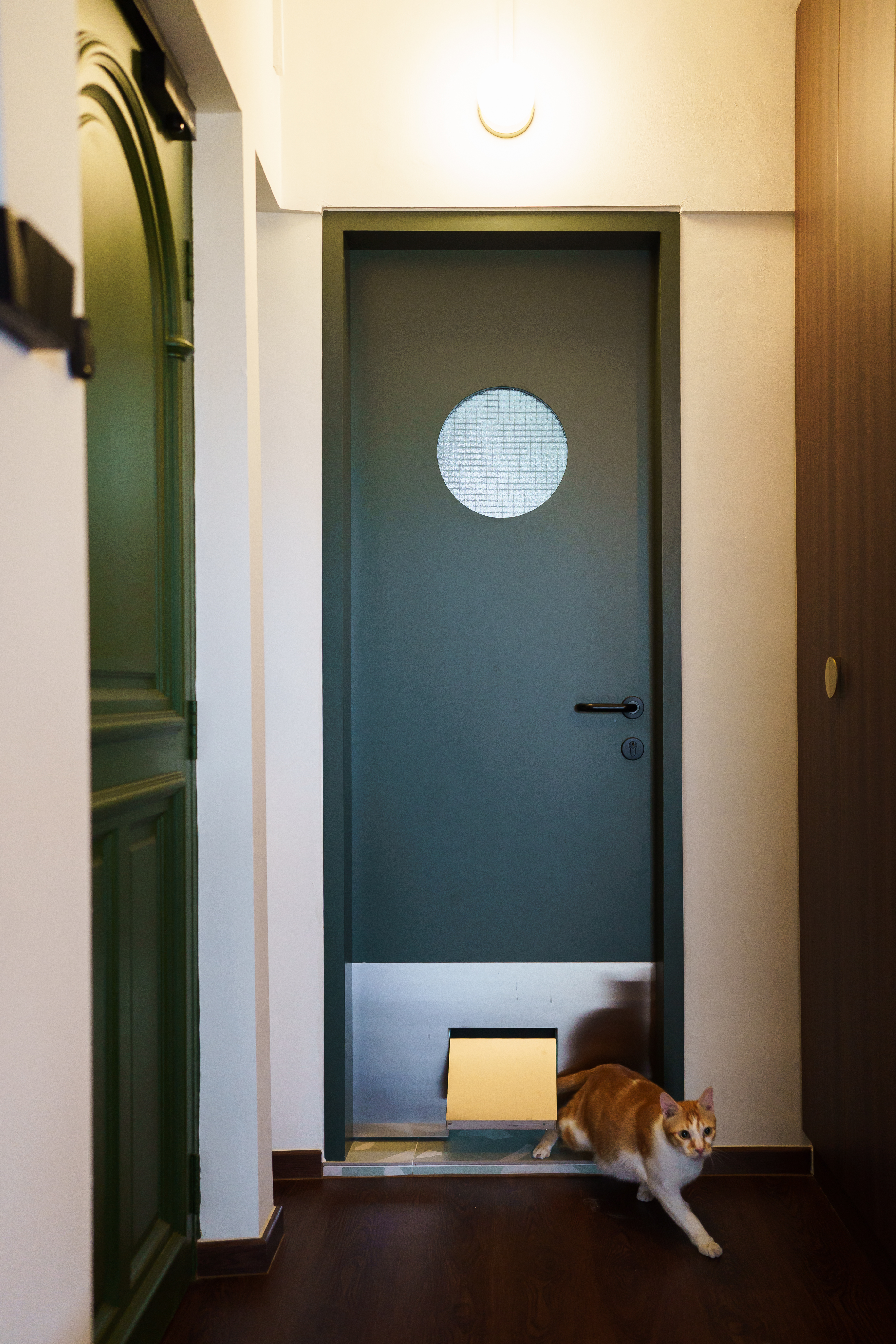 Wired glass - privacy with a fun touch for our toilets - Green door with circular window, wooden door frame, cat walking on