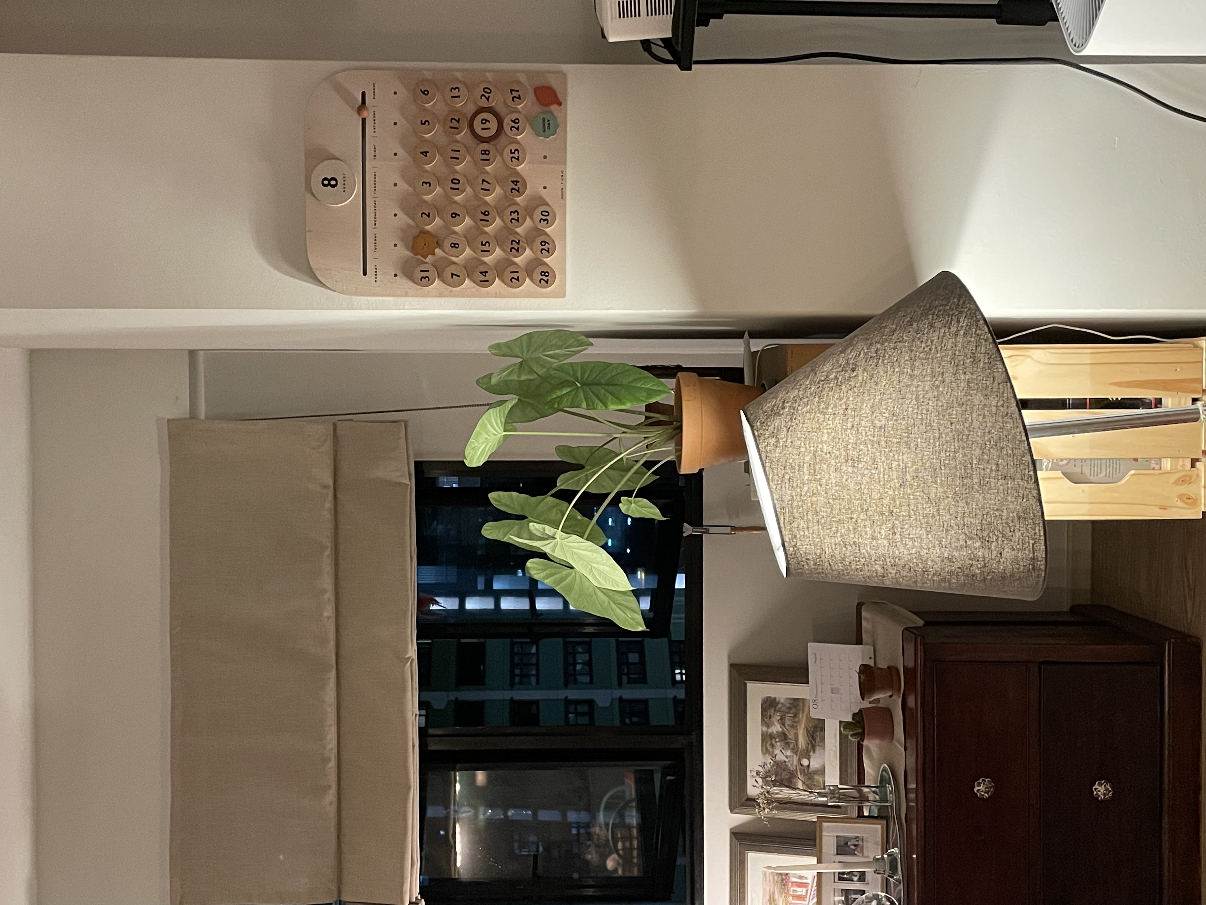 Let There Be Light: Say NO to dark spaces 🙅🏻‍♀️🙅🏻‍♂️  - Wooden calendar, beige curtains, indoor plant, wooden shelf