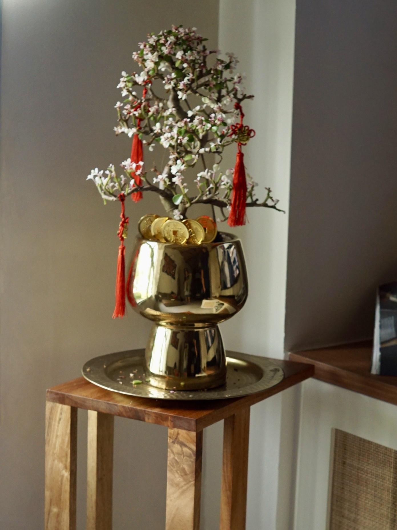 Festive Chinese New Year Vibes at Home - Golden vase, cherry blossom branch, red tassels, coins, traditional decor, rustic