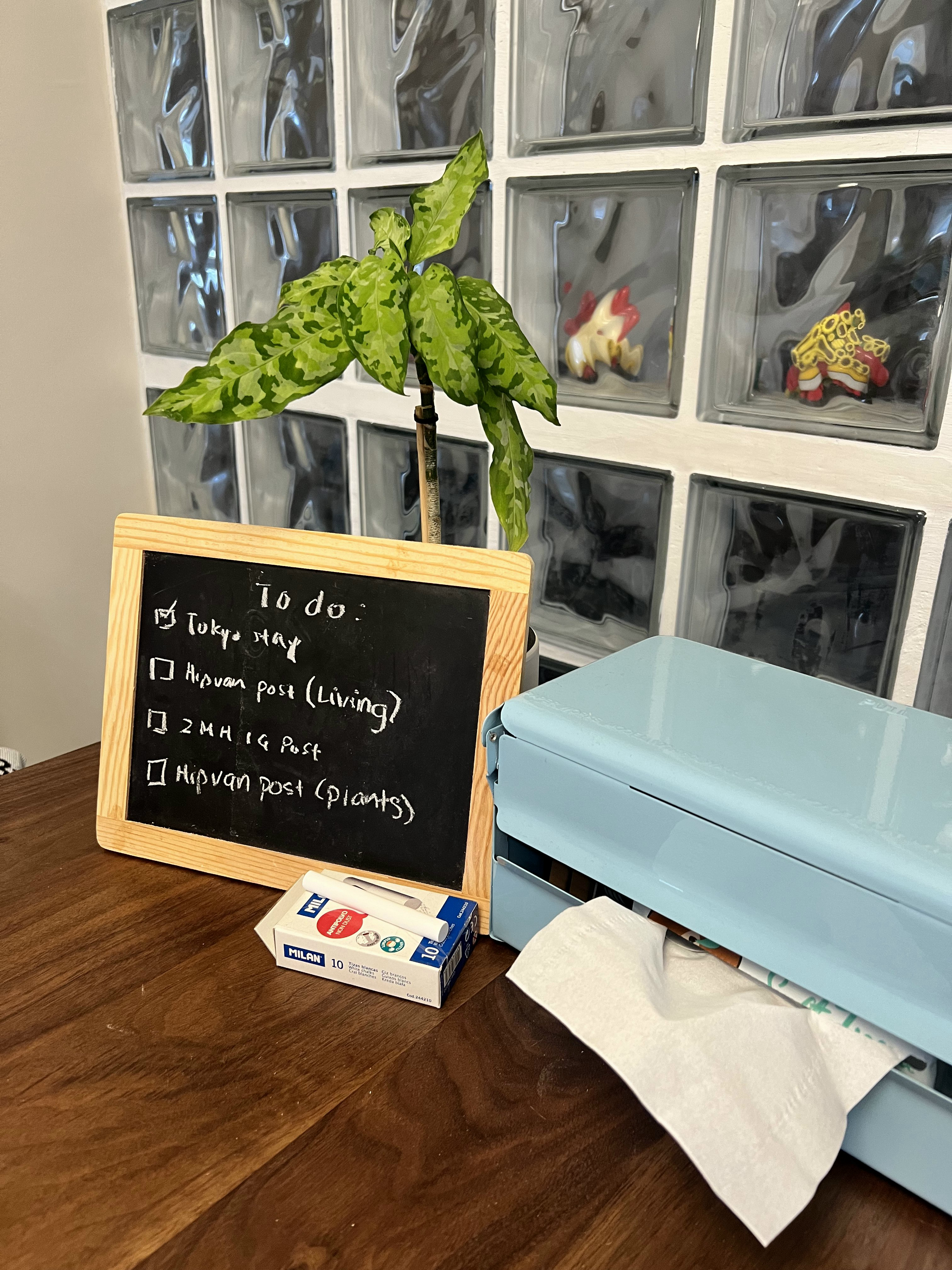Our Plants at Home: A growing collection  - "Chalkboard with handwritten tasks for plant care", "Plants in glass containers