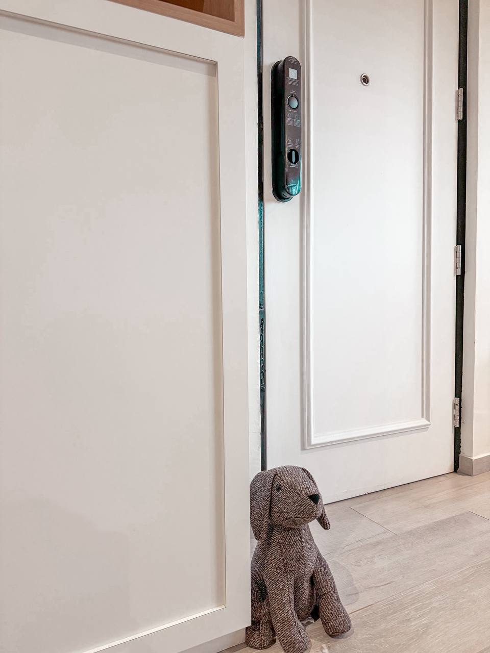 Entryway  - White door, electronic lock, textured dog toy, minimalist interior, light wooden floor, cozy atmosphere, small