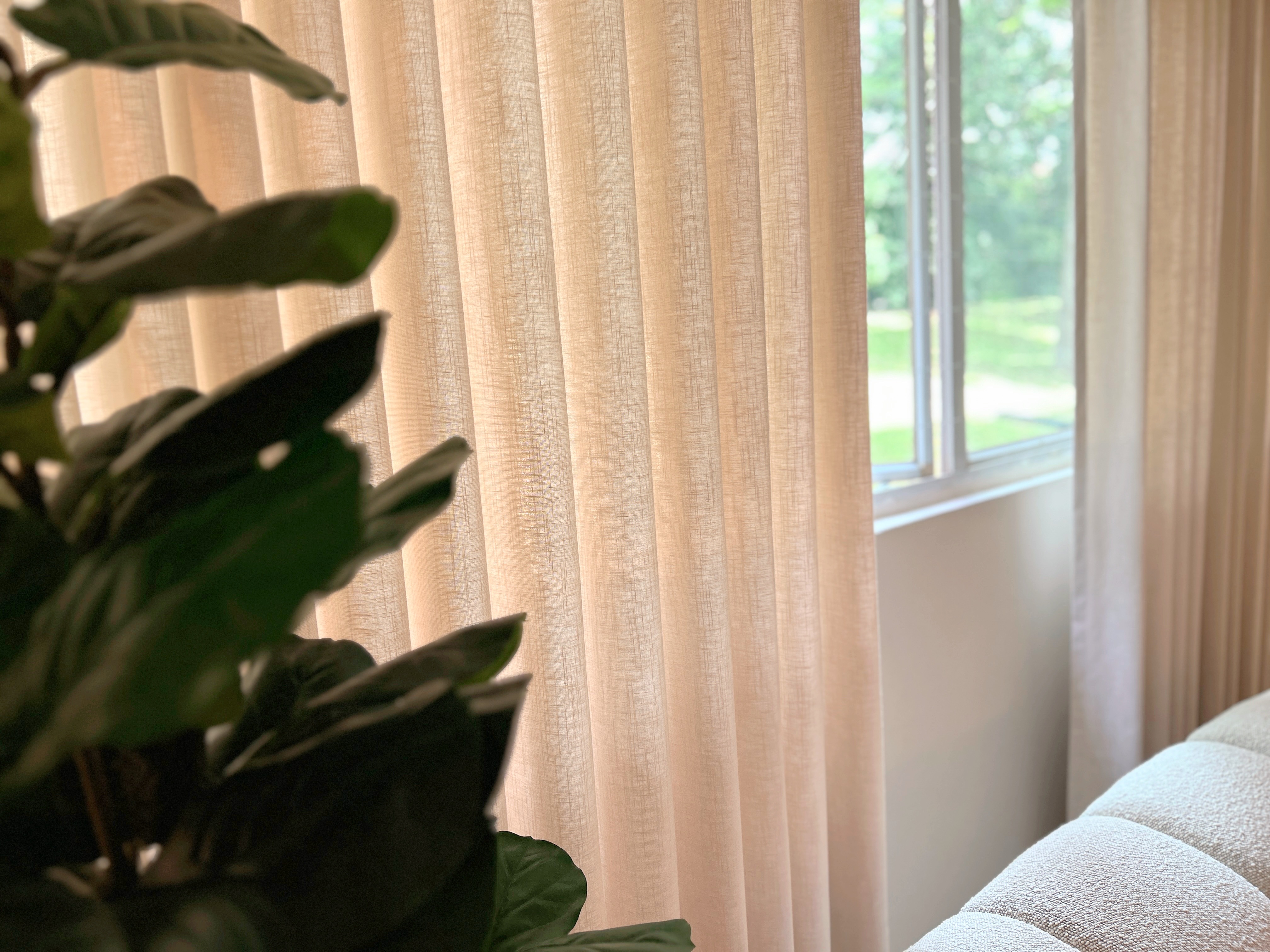 Living Room: Chill and Netflix! - Cream-colored curtains, soft natural light, green plant leaves, beige window frame, indoor