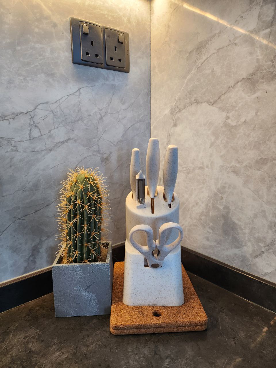 Green Babies: real or faux? - Cactus, wall socket, modern kitchen, marble backsplash, power strip, kitchen utensils