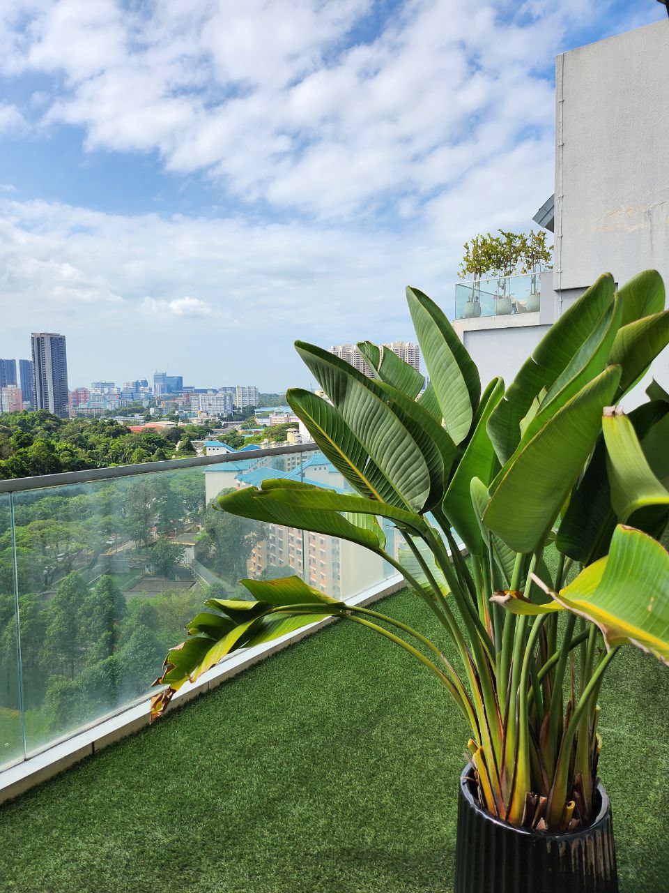 Green Babies: real or faux? - Green tropical plant, urban cityscape, balcony view, modern architecture, high-rise buildings