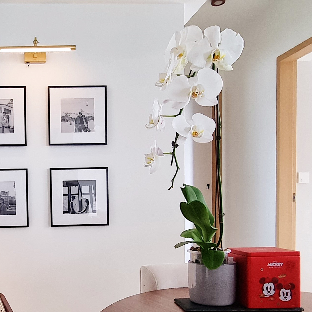 Growing our urban jungle/forest at home - White orchid, modern decor, framed black and white photos, minimalist design