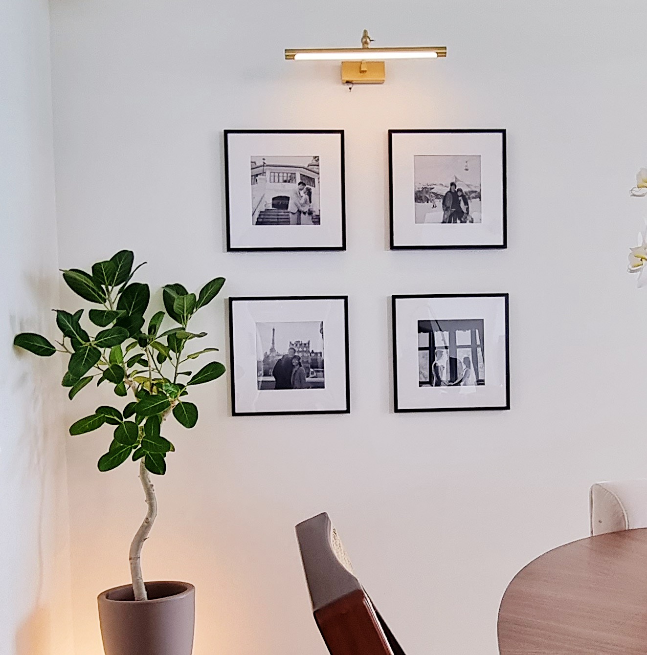 Growing-our-urban-jungle/forest-at-home