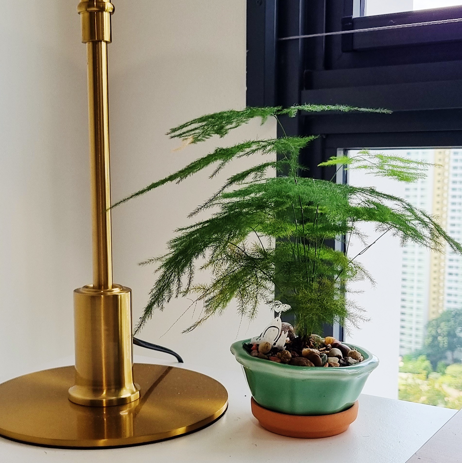 Growing our urban jungle/forest at home - Golden floor lamp, green fern plant, indoor greenery, indoor plant, indoor decor