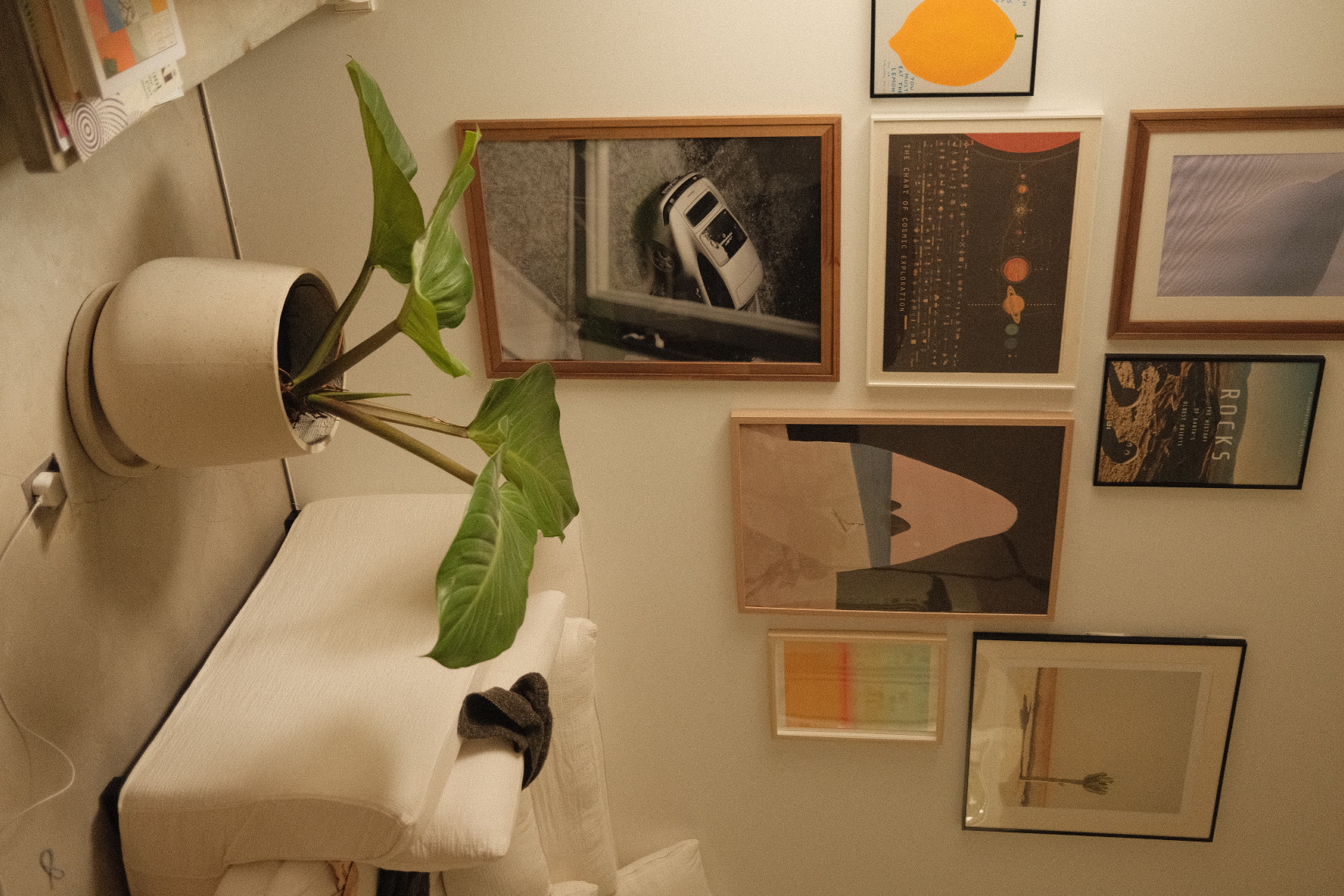 Welcome to our green sanctuary! - plant, wall art, beige pot, green leaves, abstract art, framed pictures, orange circle