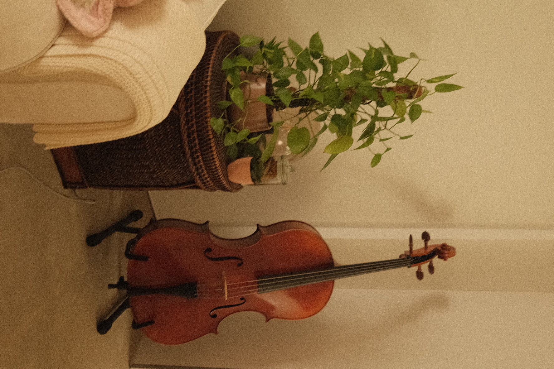 Welcome to our green sanctuary! - wicker basket, green plant, wooden violin, beige sofa, pink hat, indoor plants, indoor