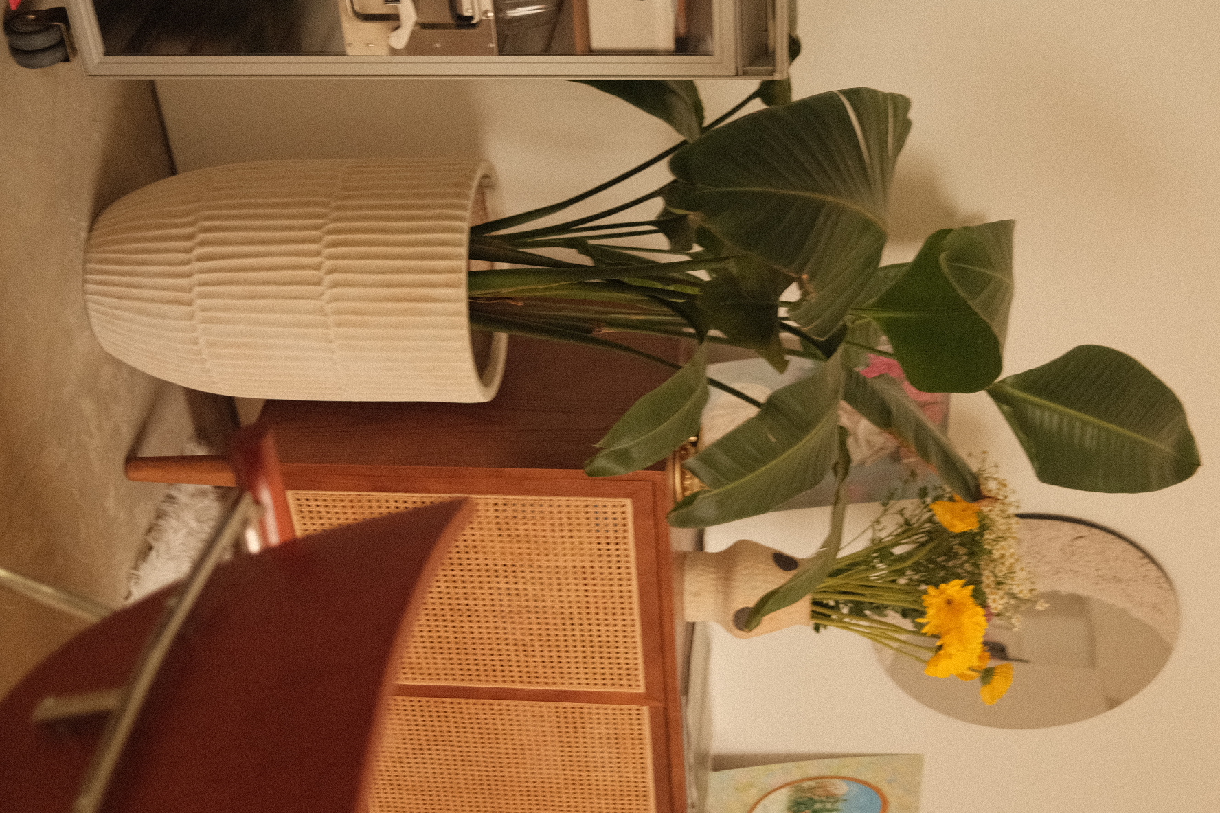 Welcome-to-our-green-sanctuary!