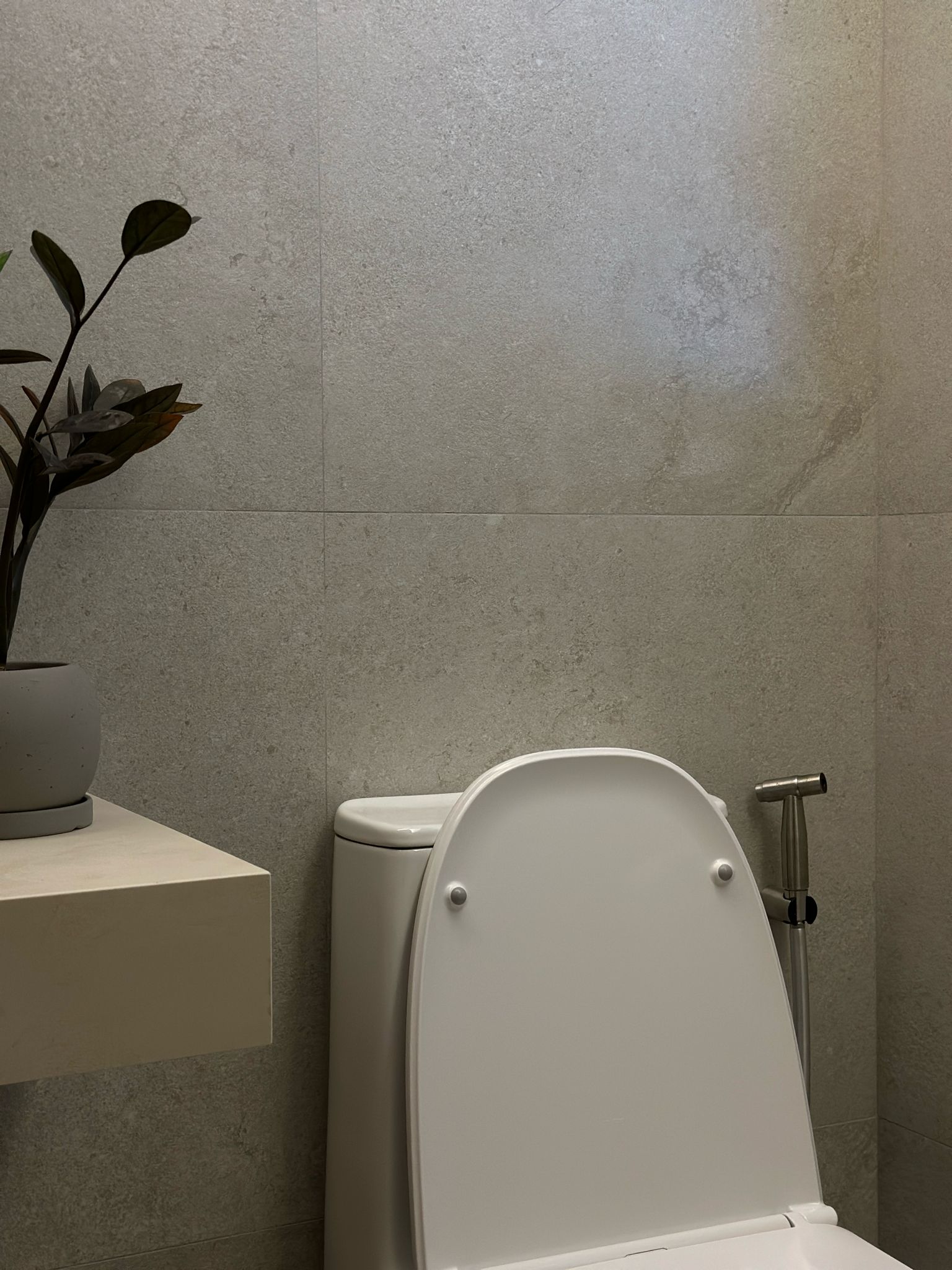 Our wabi-sabi master bathroom  - Modern minimalist bathroom, sleek toilet, white ceramic toilet, gray tiled wall, potted