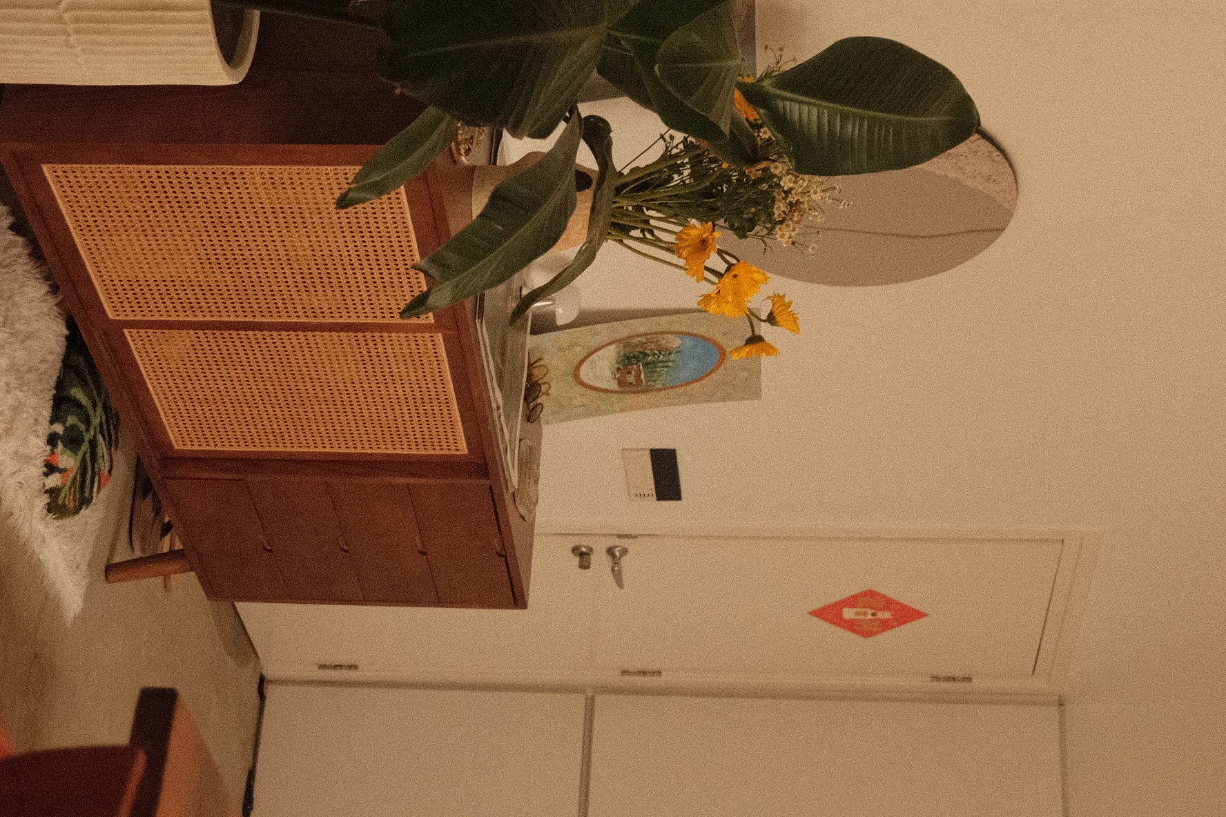 The tiny entryway to our heritage home - vibrant green plant, yellow flowers, natural light, wooden cabinet, woven design