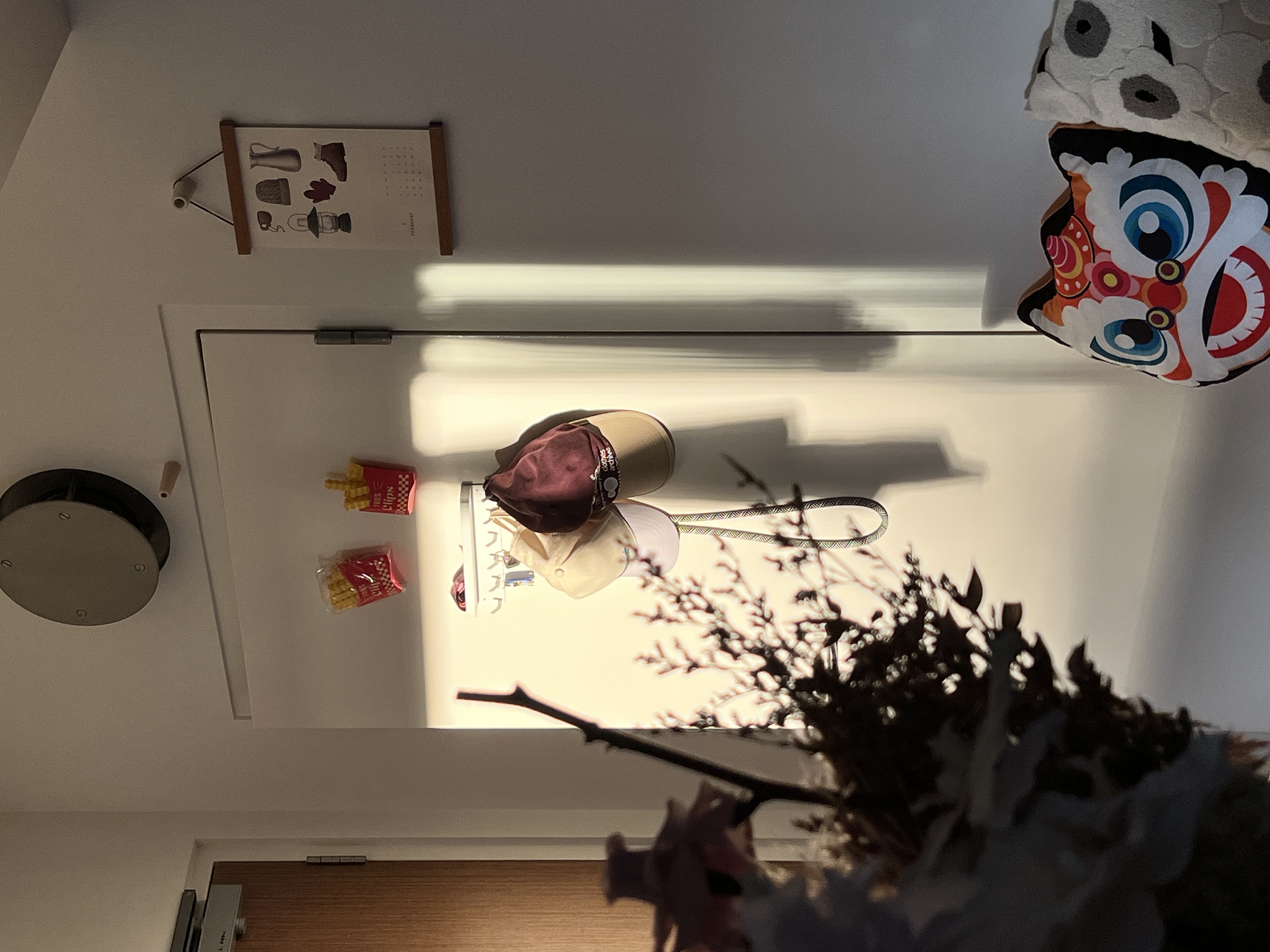 The entry way to wonders - ceiling, light fixture, shadows, wall art, calendar, decorative items, plush toy, colorful mask