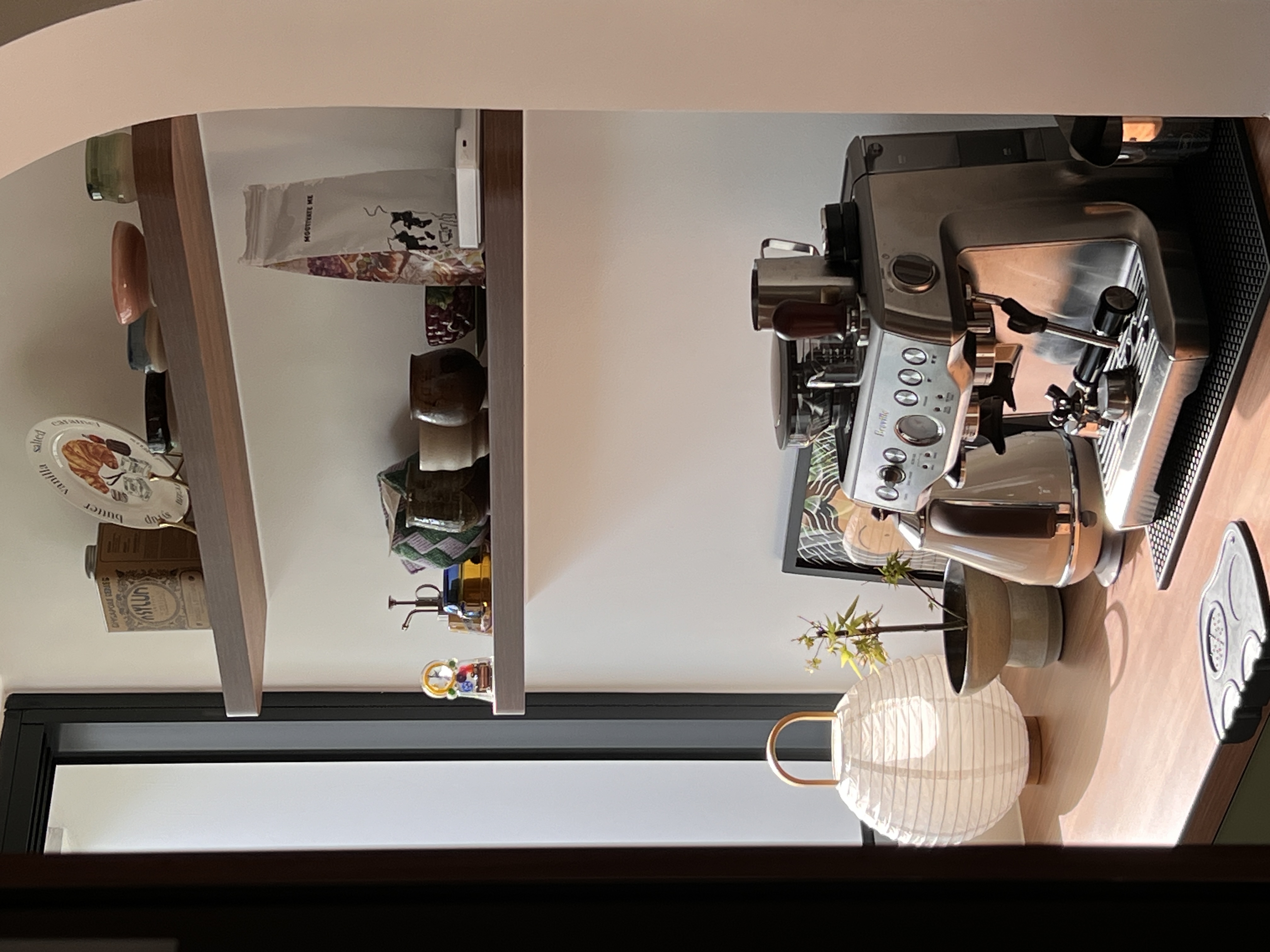 The-yard-that-services-the-home