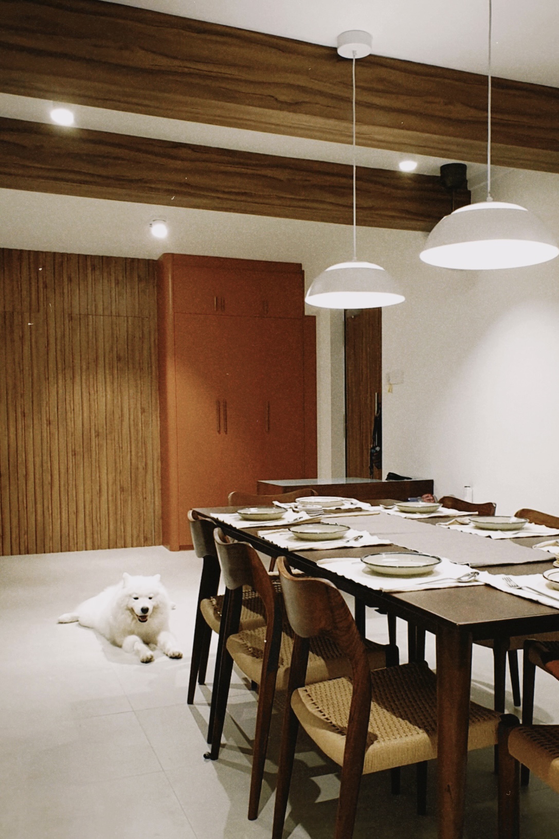A Mid-Century Modern Home with Wood, Warmth and Colours - modern dining room, wooden ceiling beams, white dog, dining table