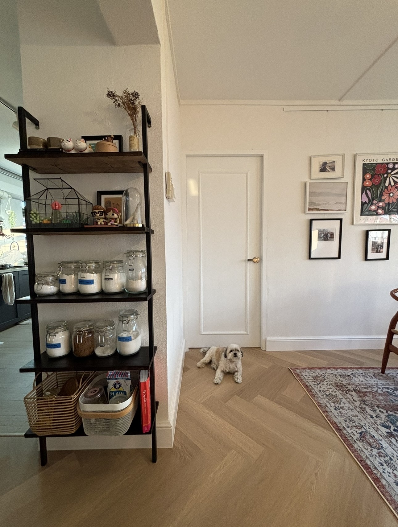 Warm & Cosy HDB Maisonette - black metal shelf, glass jars, white flowers, cat figurines, indoor plants, wooden door, white