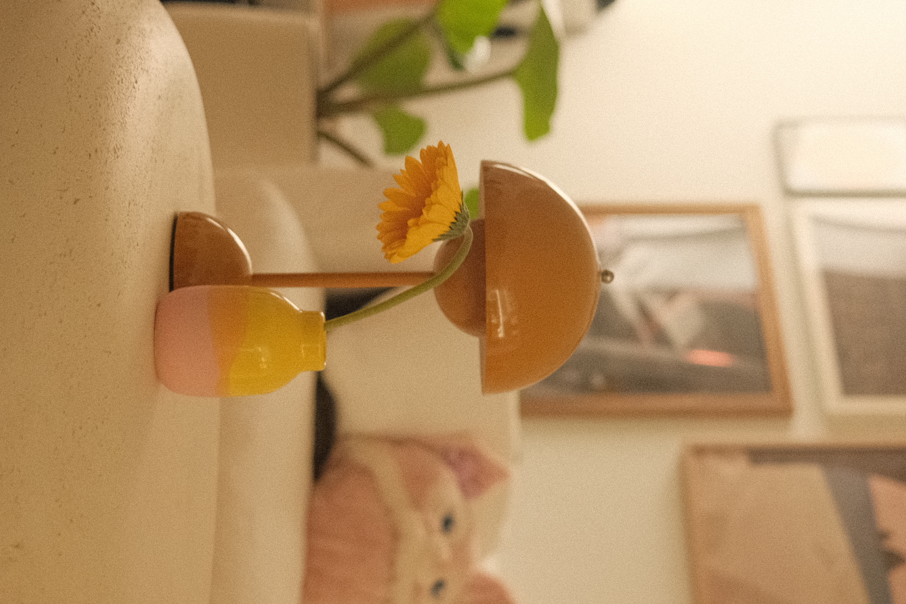 Our cozy corner in an eclectic home - vibrant yellow flower, delicate petals, soft lighting, cozy atmosphere, pastel colors