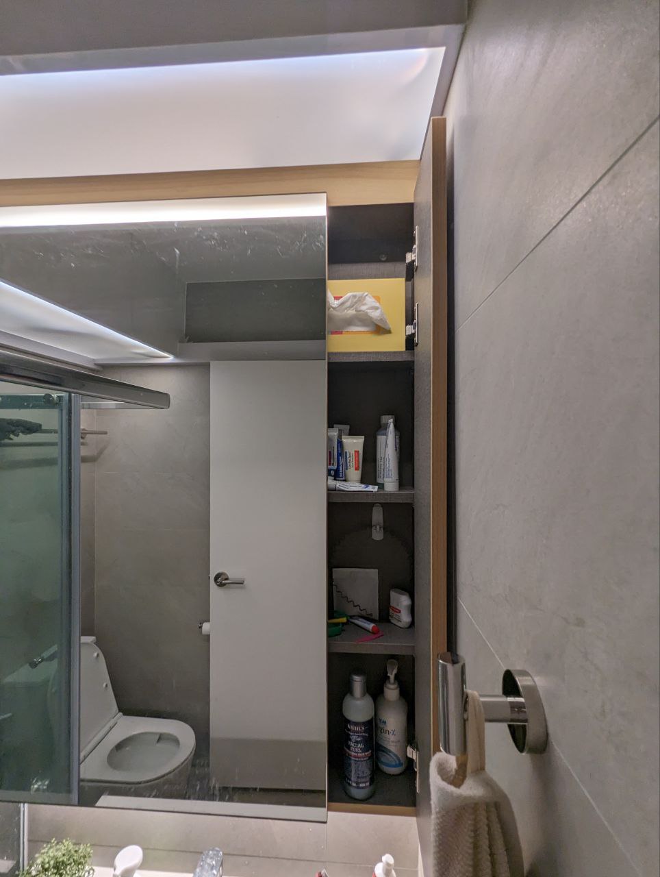 A flush-tastic experience - Modern bathroom, open medicine cabinet, organized toiletries, glass shower enclosure, tiled