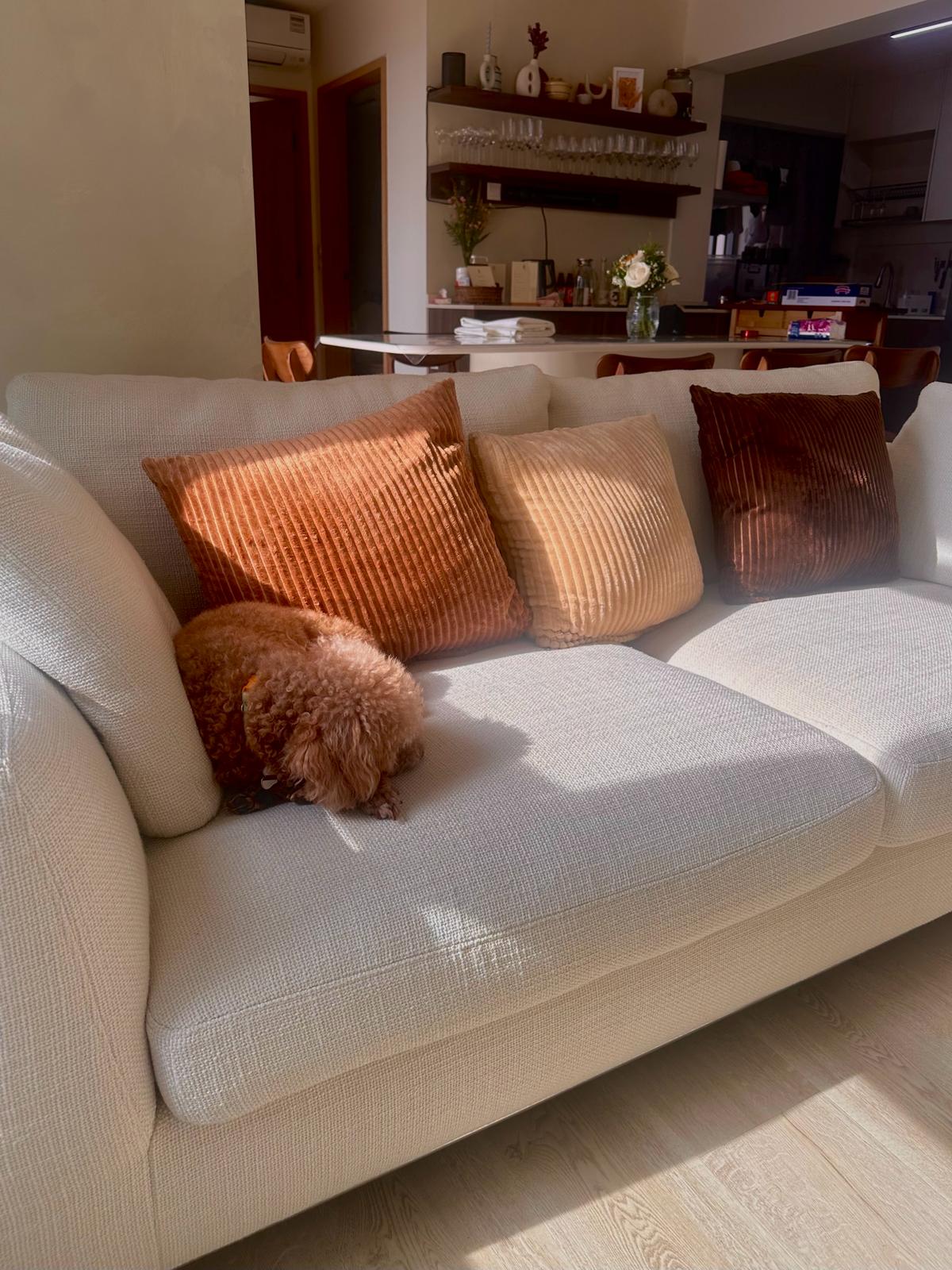 Wabi-Sabi home designed by Chefs to host Private Dinners - Light-colored sofa with three decorative pillows, including a