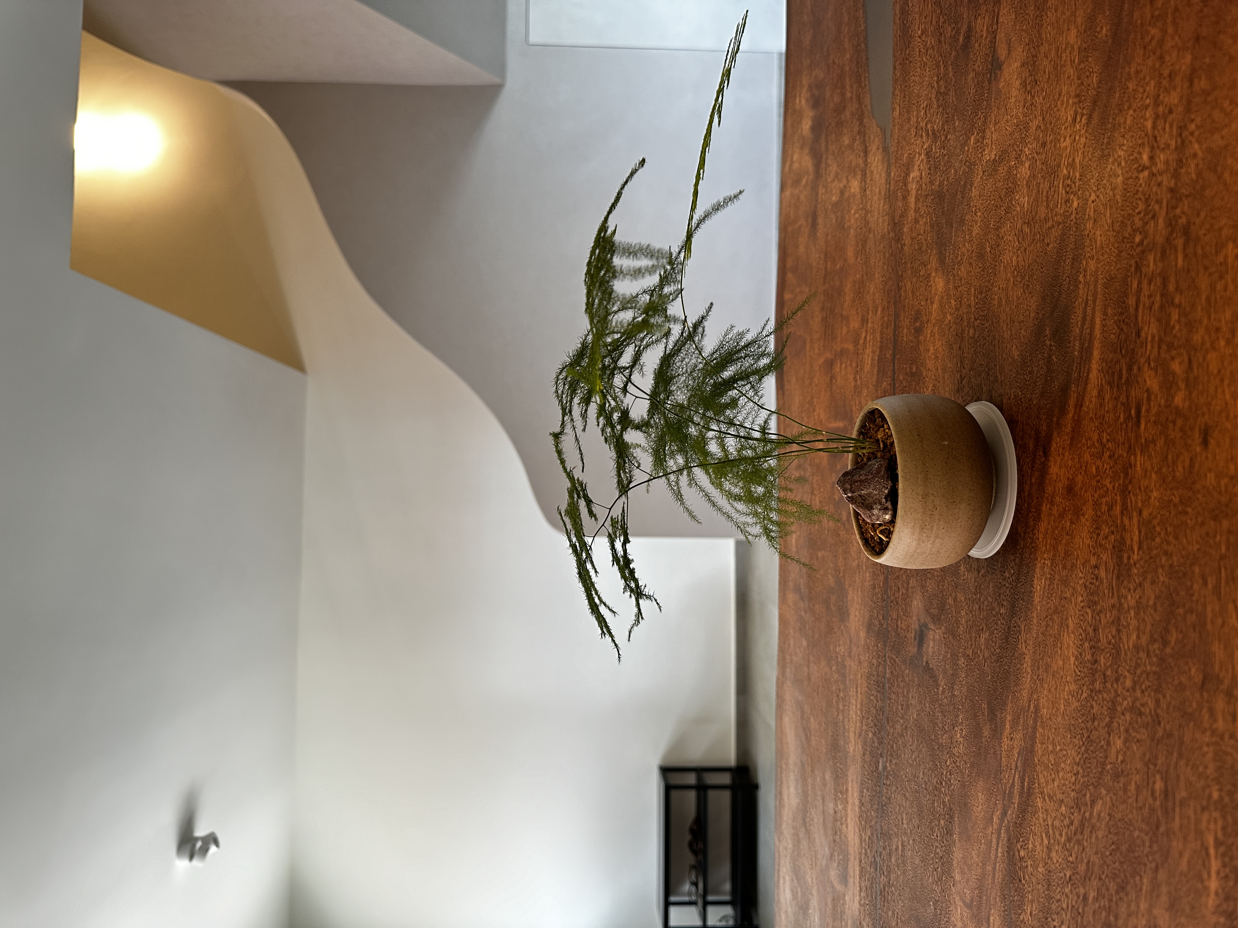 Our Dining Room: Japandi style with raw details - modern interior, minimalist design, indoor plant, wooden table, natural