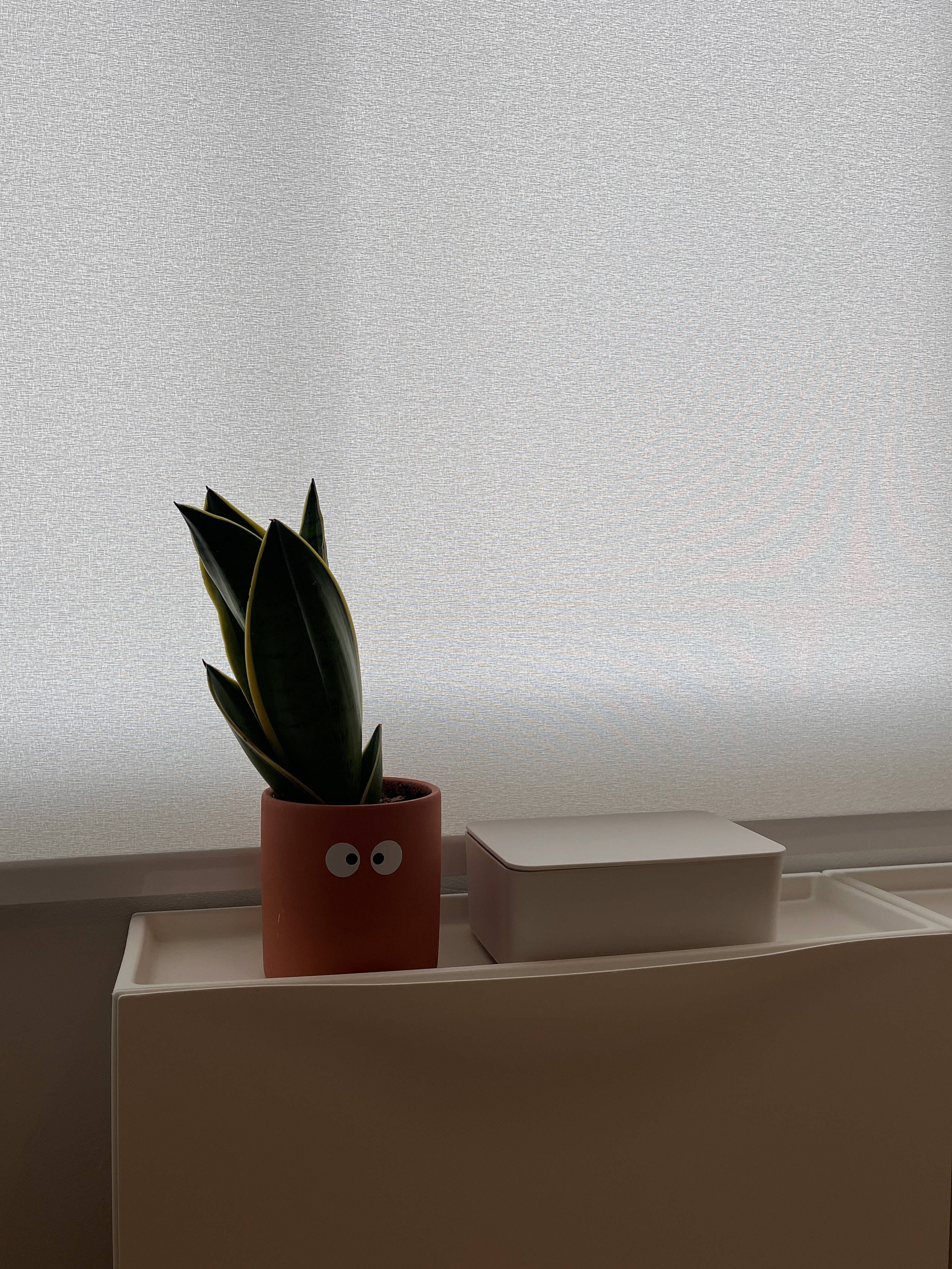 Entryway - Clean & Simple - window sill, indoor plant, brown pot, green leaves, white box, beige shelf, soft lighting, modern