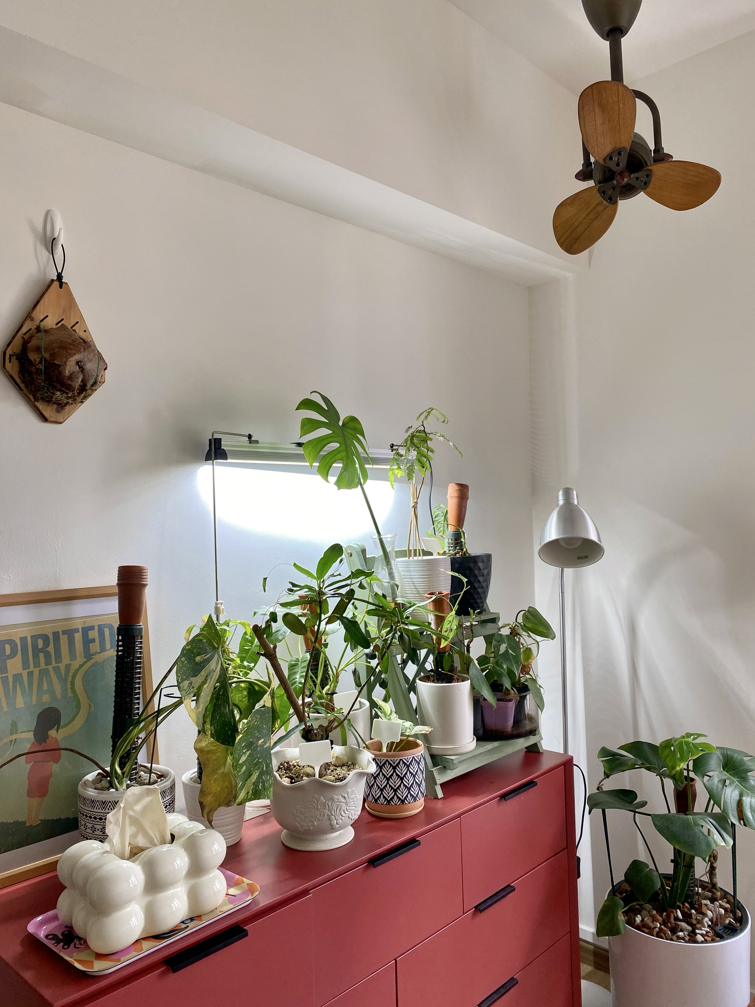 Hearty Meals, Warm Hearts: Our DIY Thrifted Dining Table  - vibrant green plants, indoor garden, cozy room, hanging pendant