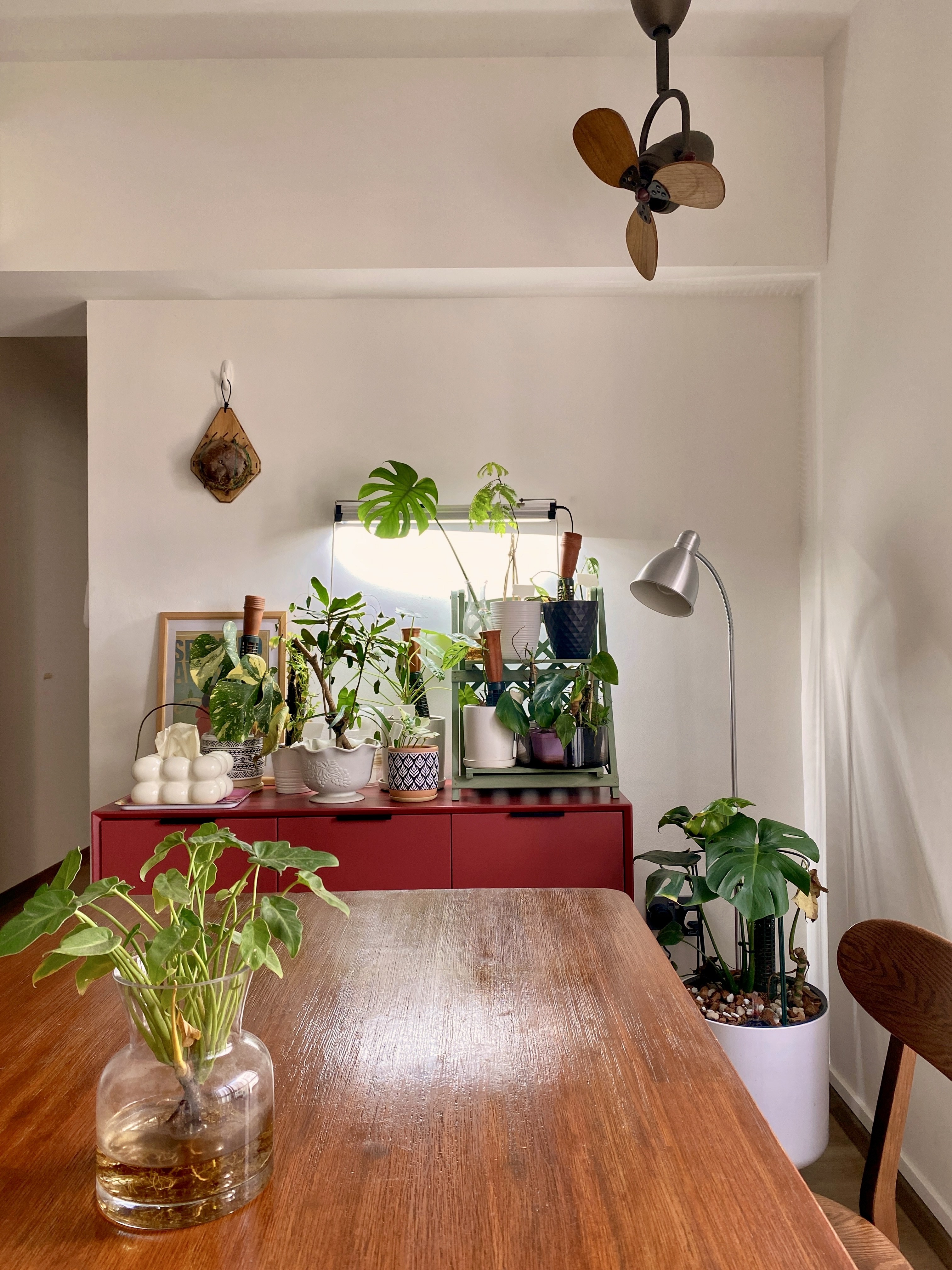 Hearty Meals, Warm Hearts: Our DIY Thrifted Dining Table  - vibrant green plants, modern interior, wooden table, hanging