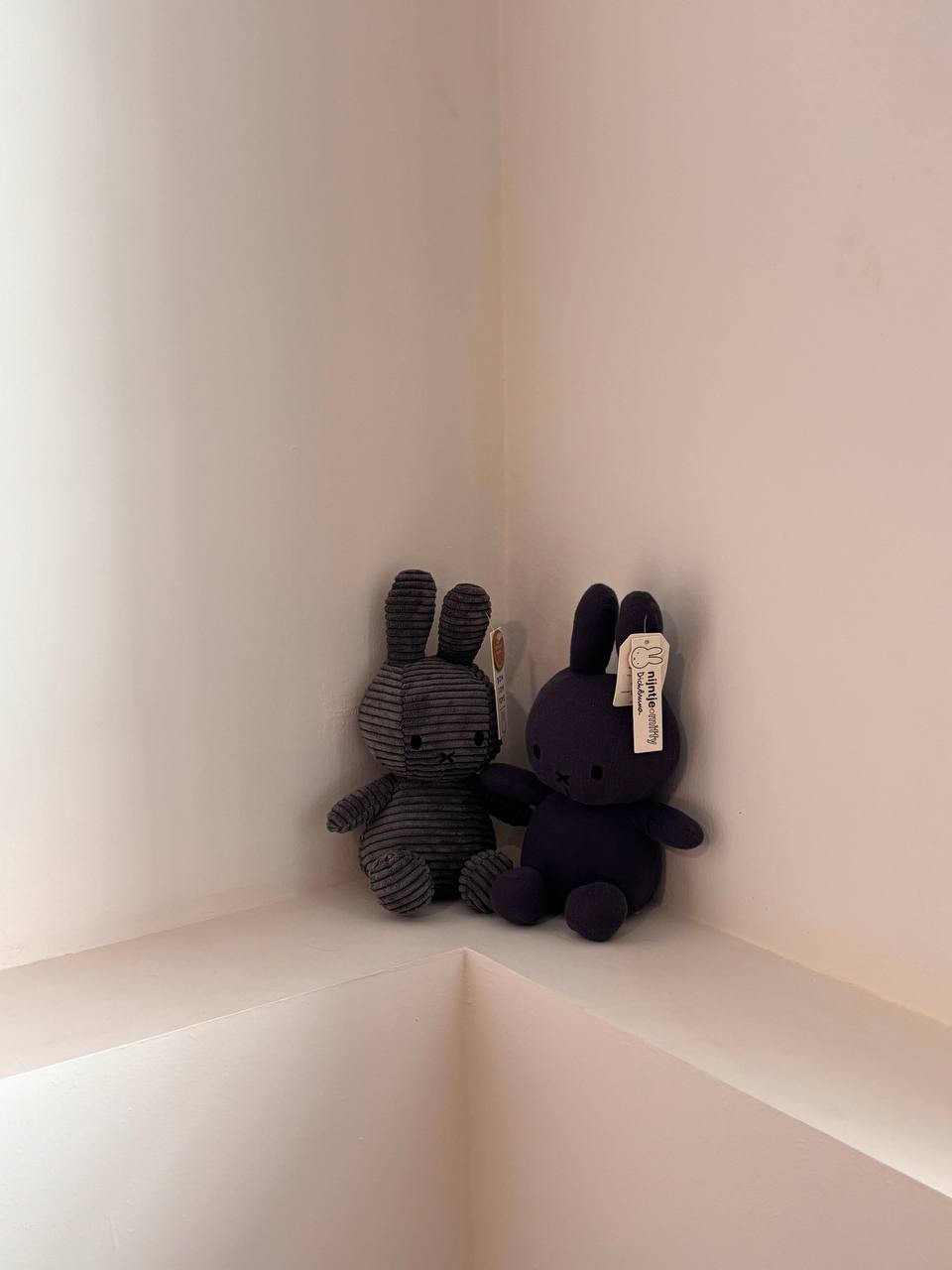 On Bedroom & Marriage Advices  - Soft, plush, dark gray rabbits, sitting side by side, facing forward, with soft, velvety