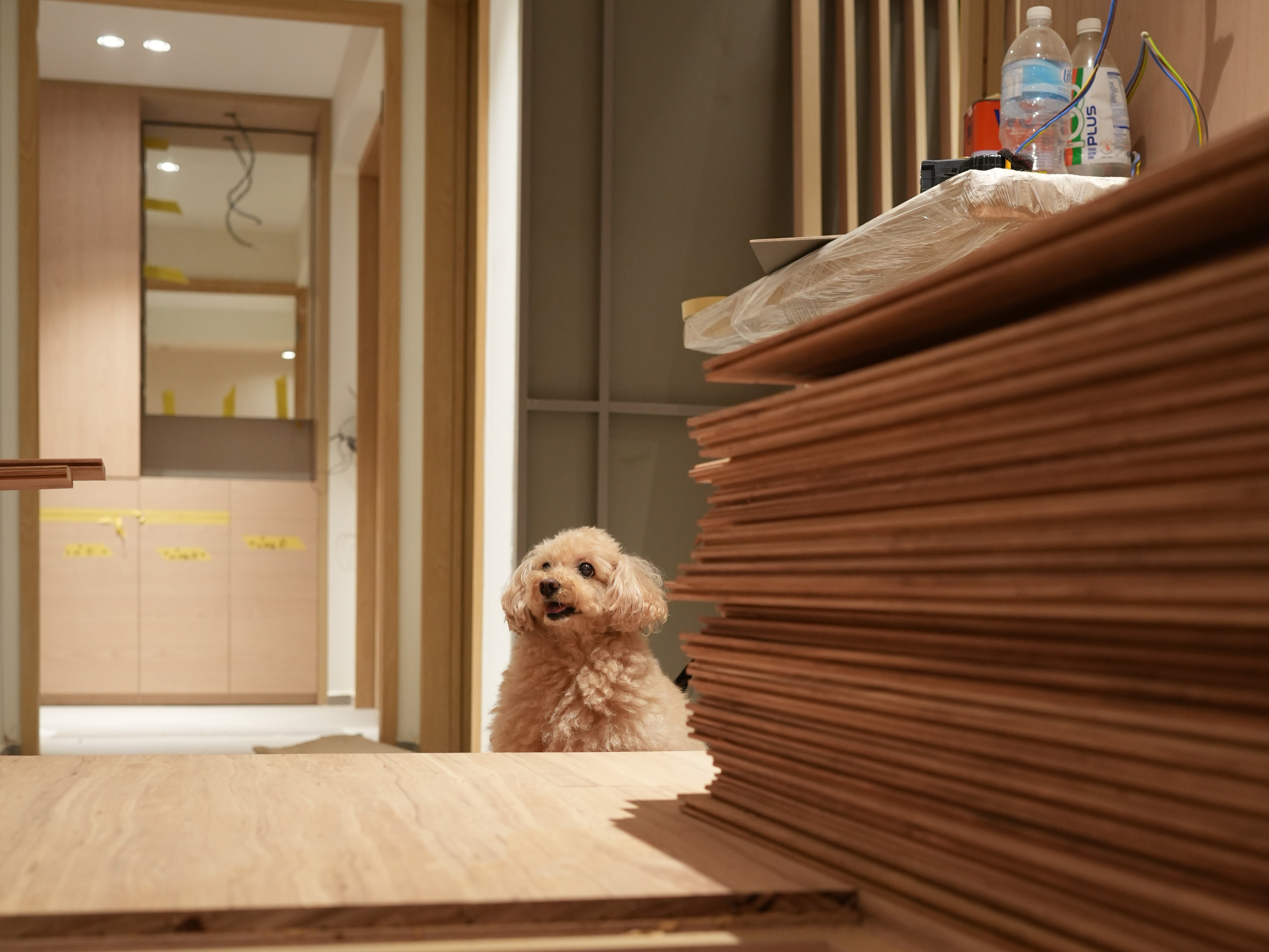 Costs:-Financing-Your-Pinterest-Moodboards-Without-Getting-Divorced