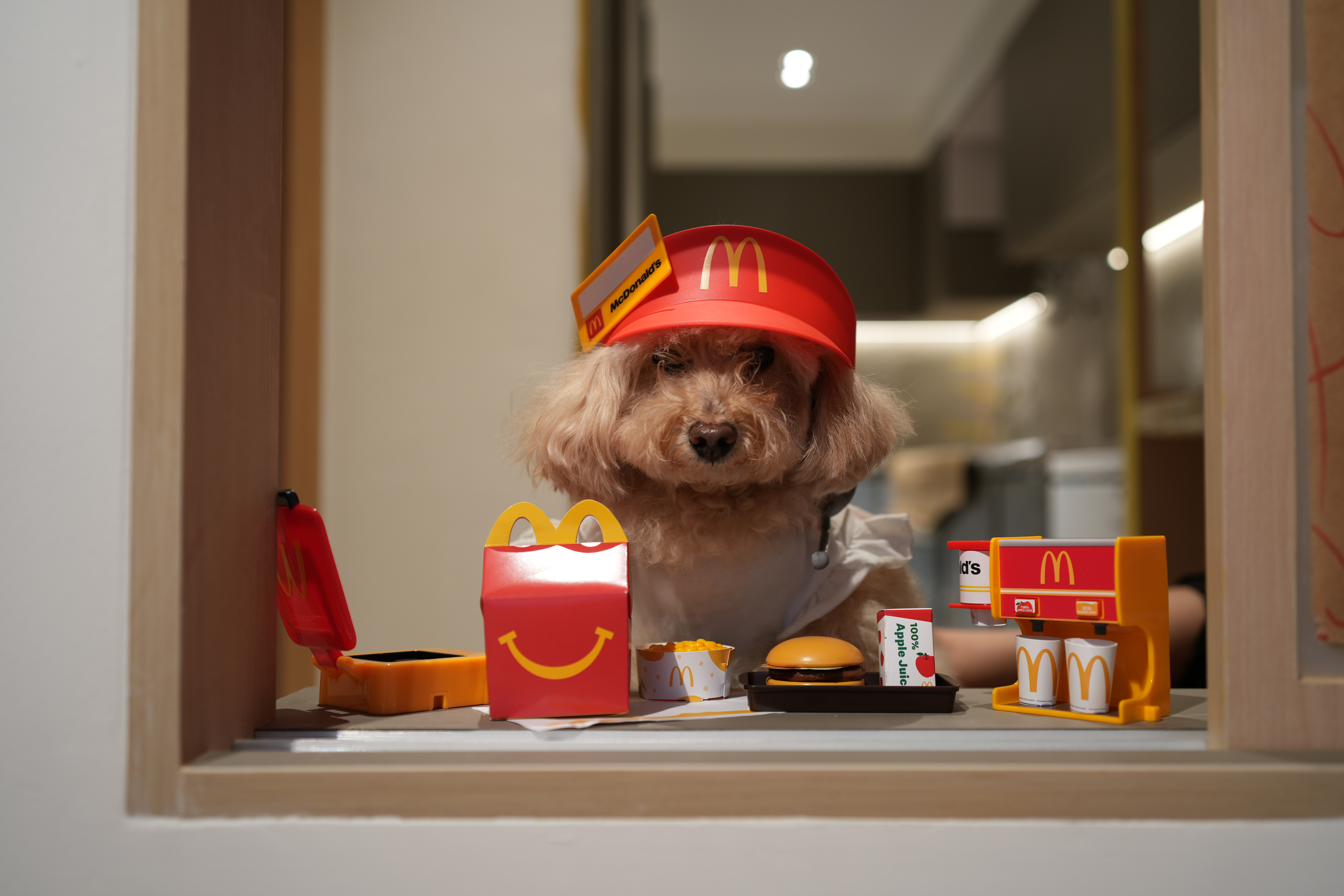Costs: Financing Your Pinterest Moodboards Without Getting Divorced - Dog wearing red McDonald's hat, sitting at a McDonald's