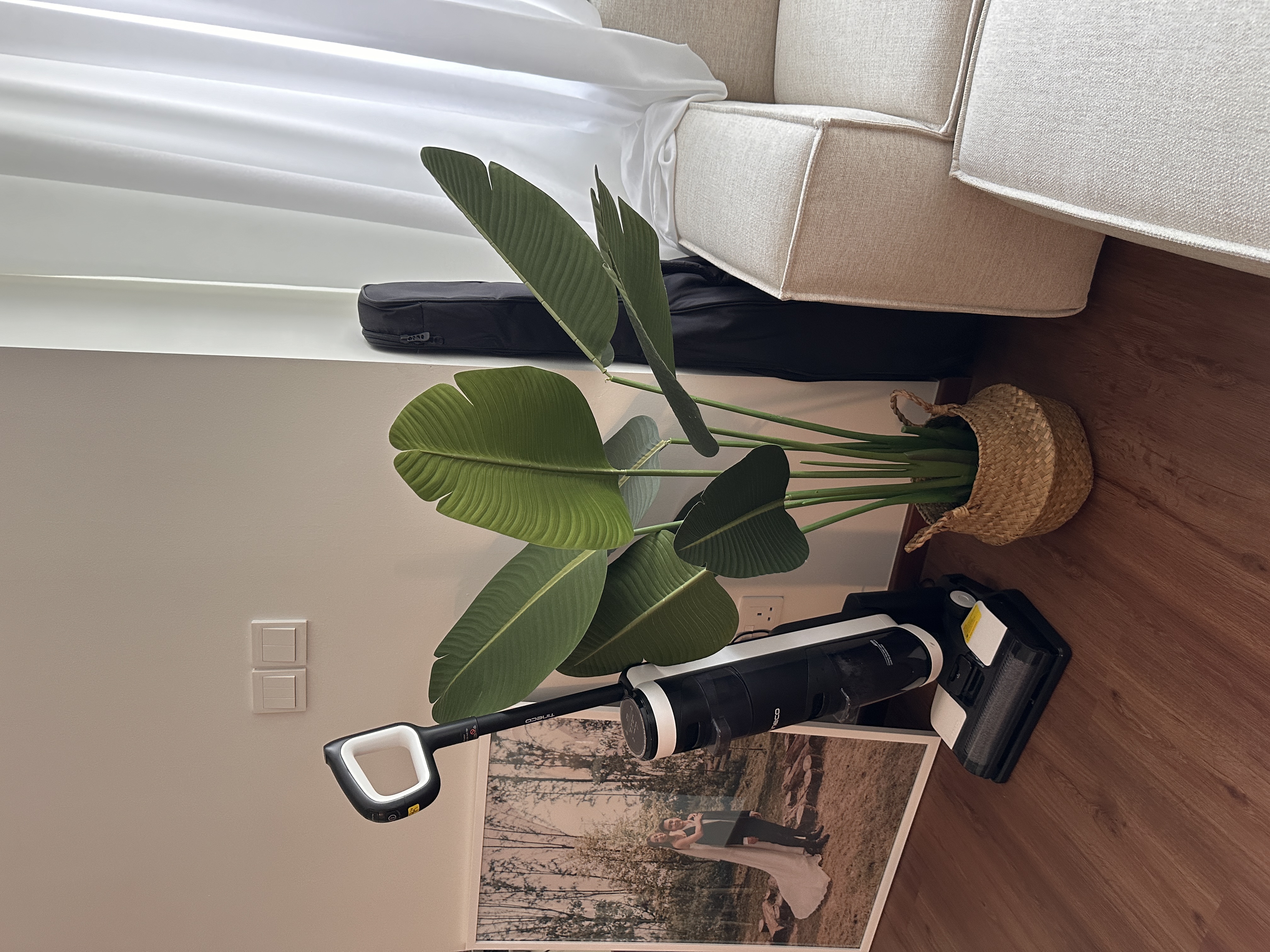 Faux plants are our new friends🪴  - green plant, modern living room, natural light, beige sofa, white curtains, wooden