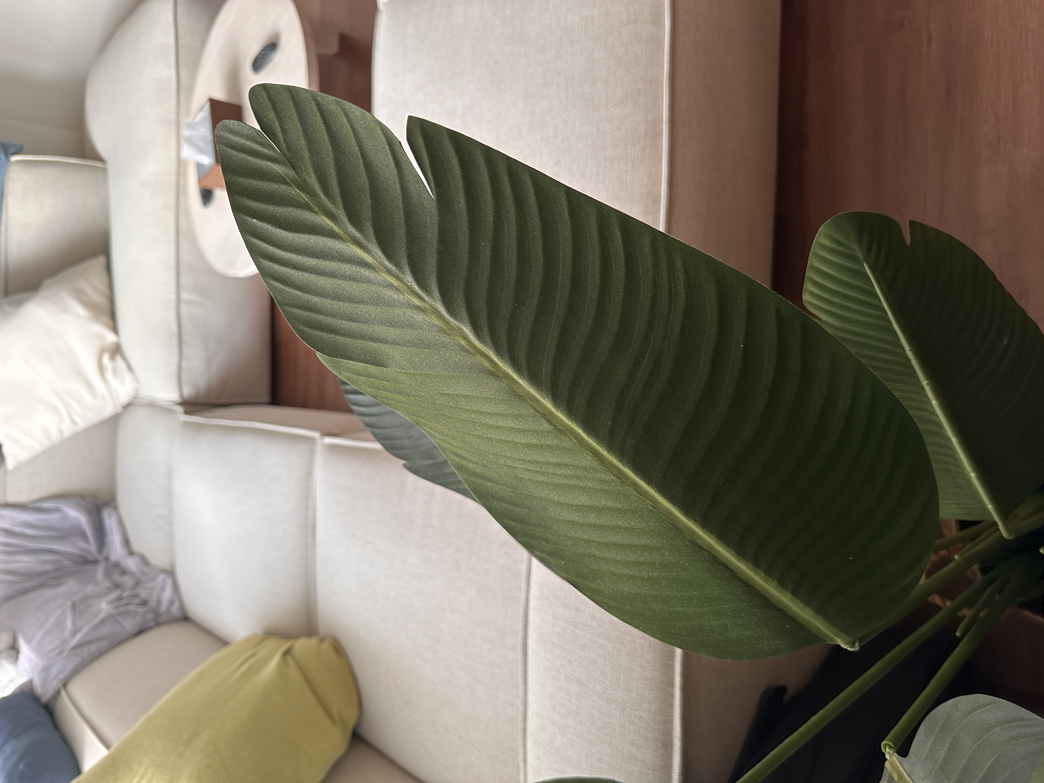 Faux plants are our new friends🪴  - Lush green leaves, soft beige sofa, cozy cushions, modern interior, natural light