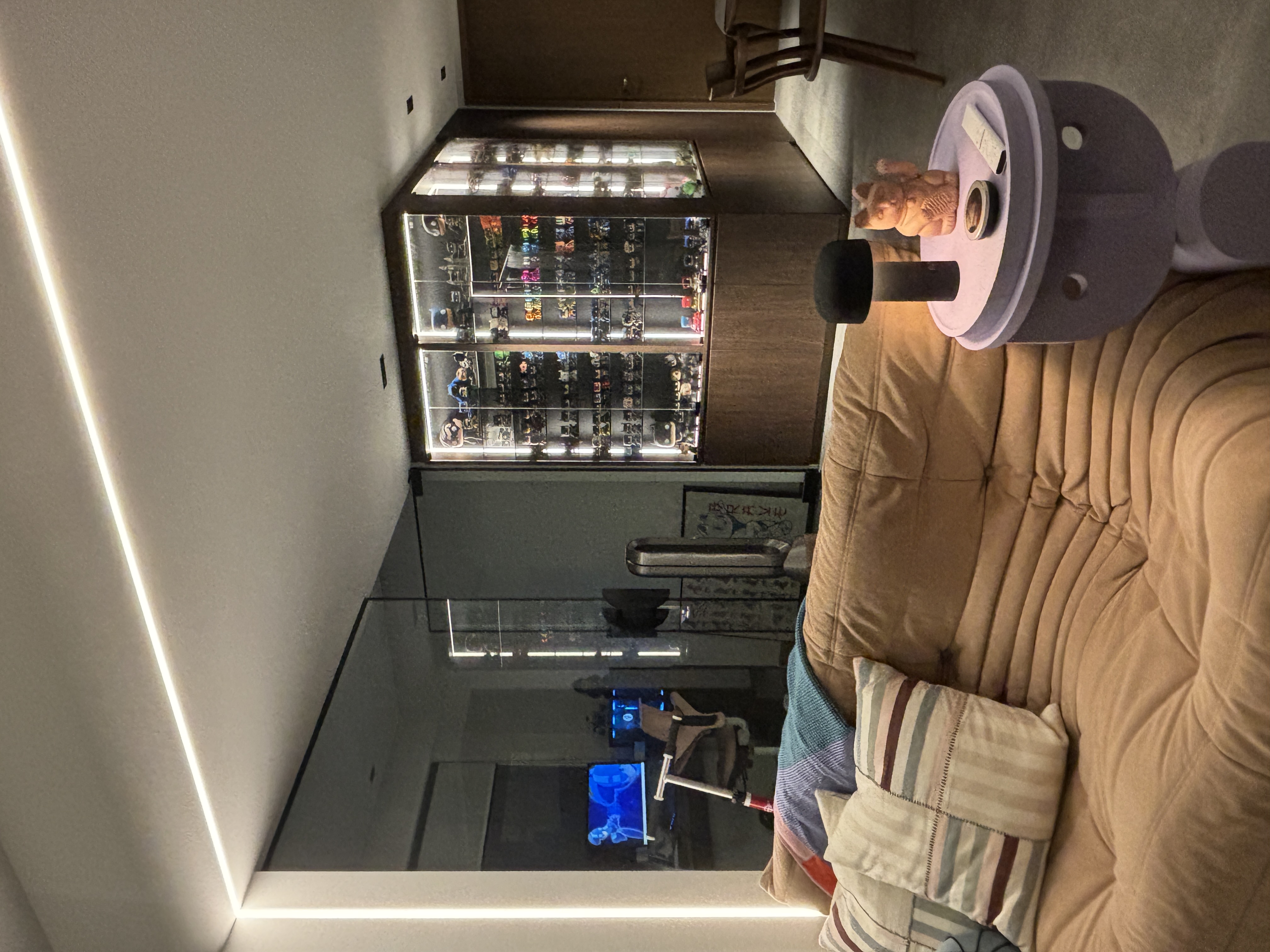 Sun is the headache - the strategic location of our display shelf - Modern living room, cozy seating area, plush beige sofa