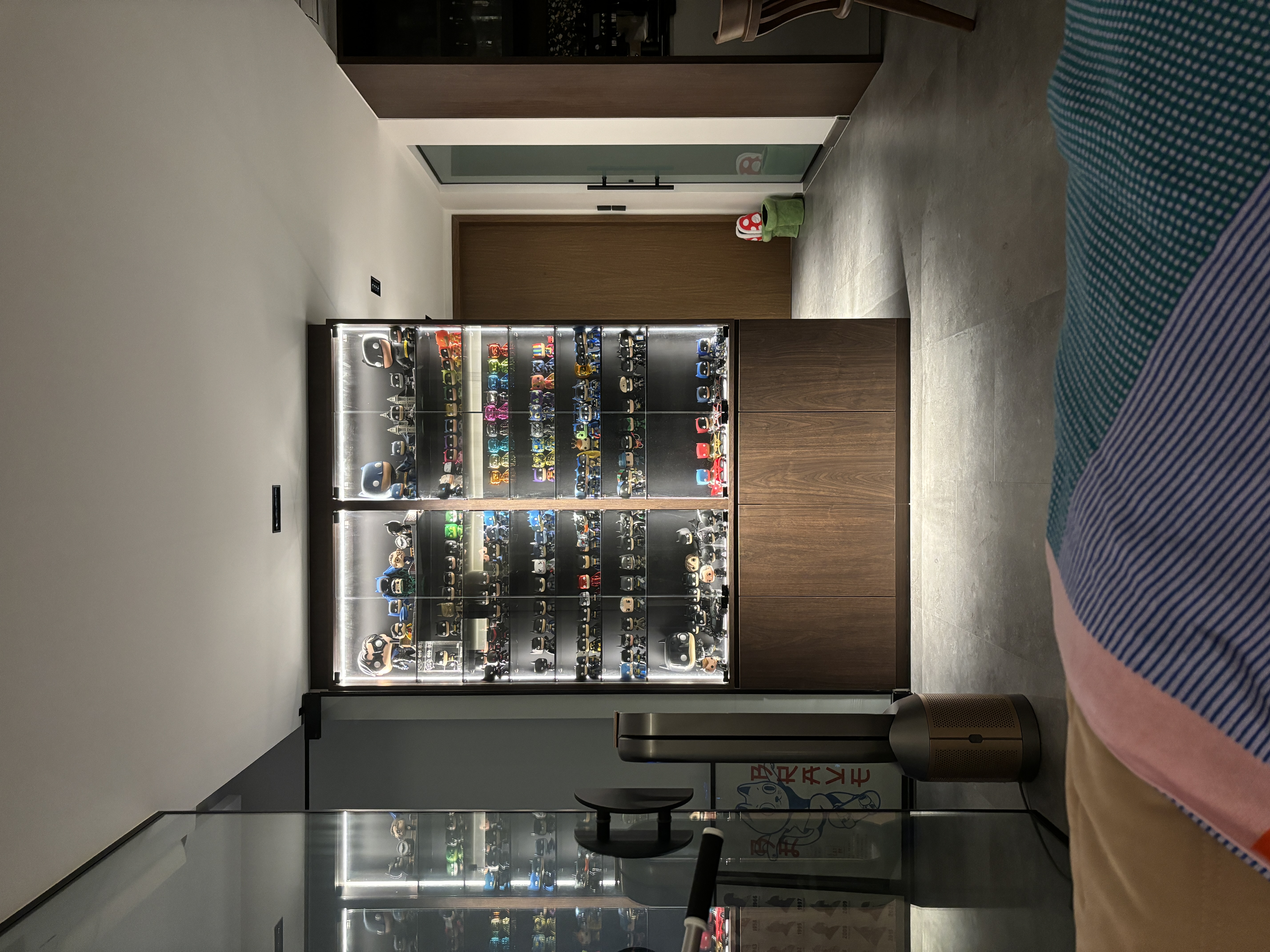 Sun is the headache - the strategic location of our display shelf - Modern minimalist interior, sleek display case, organized