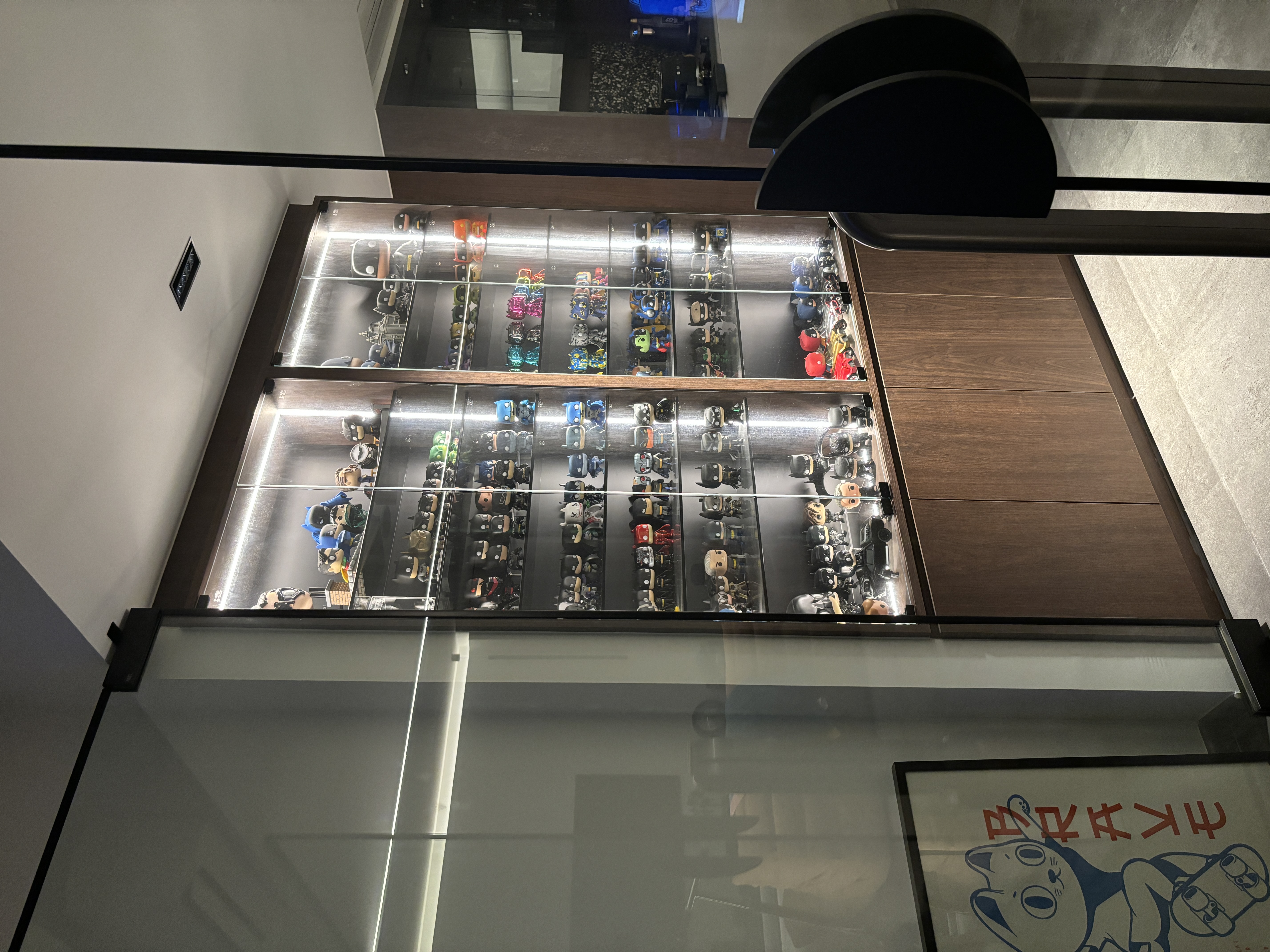 Sun is the headache - the strategic location of our display shelf - Sleek display case showcasing an array of colorful