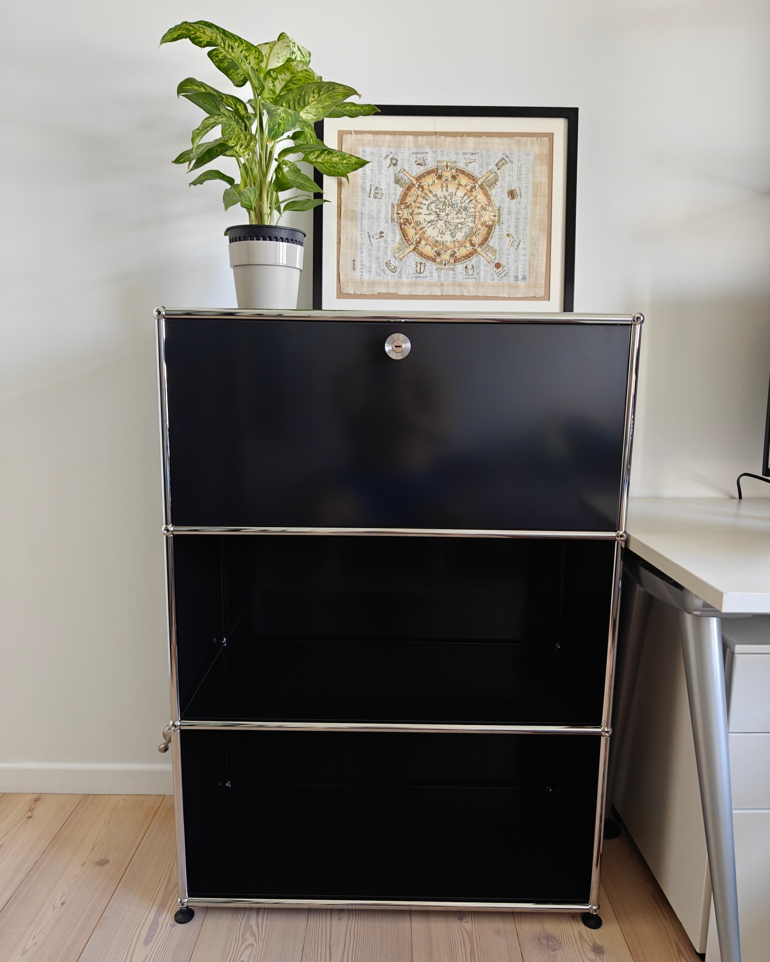 Confessions of a Serial Plant Killer - Black metal shelving unit, minimalist design, glossy finish, three shelves, black