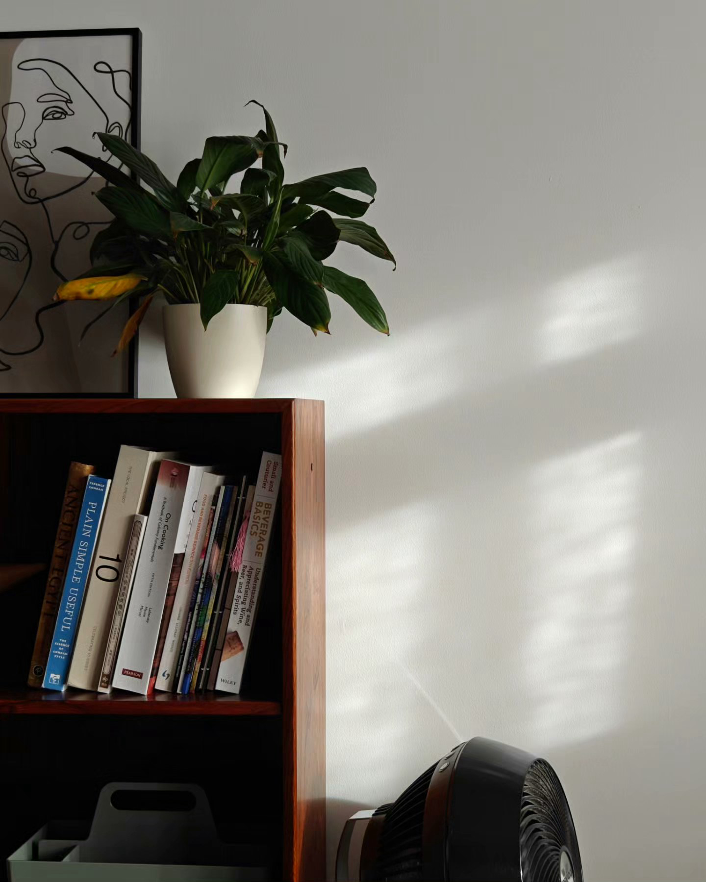 Confessions of a Serial Plant Killer - Sunlight filtering through leaves, bookshelf with various books, plant in a white pot
