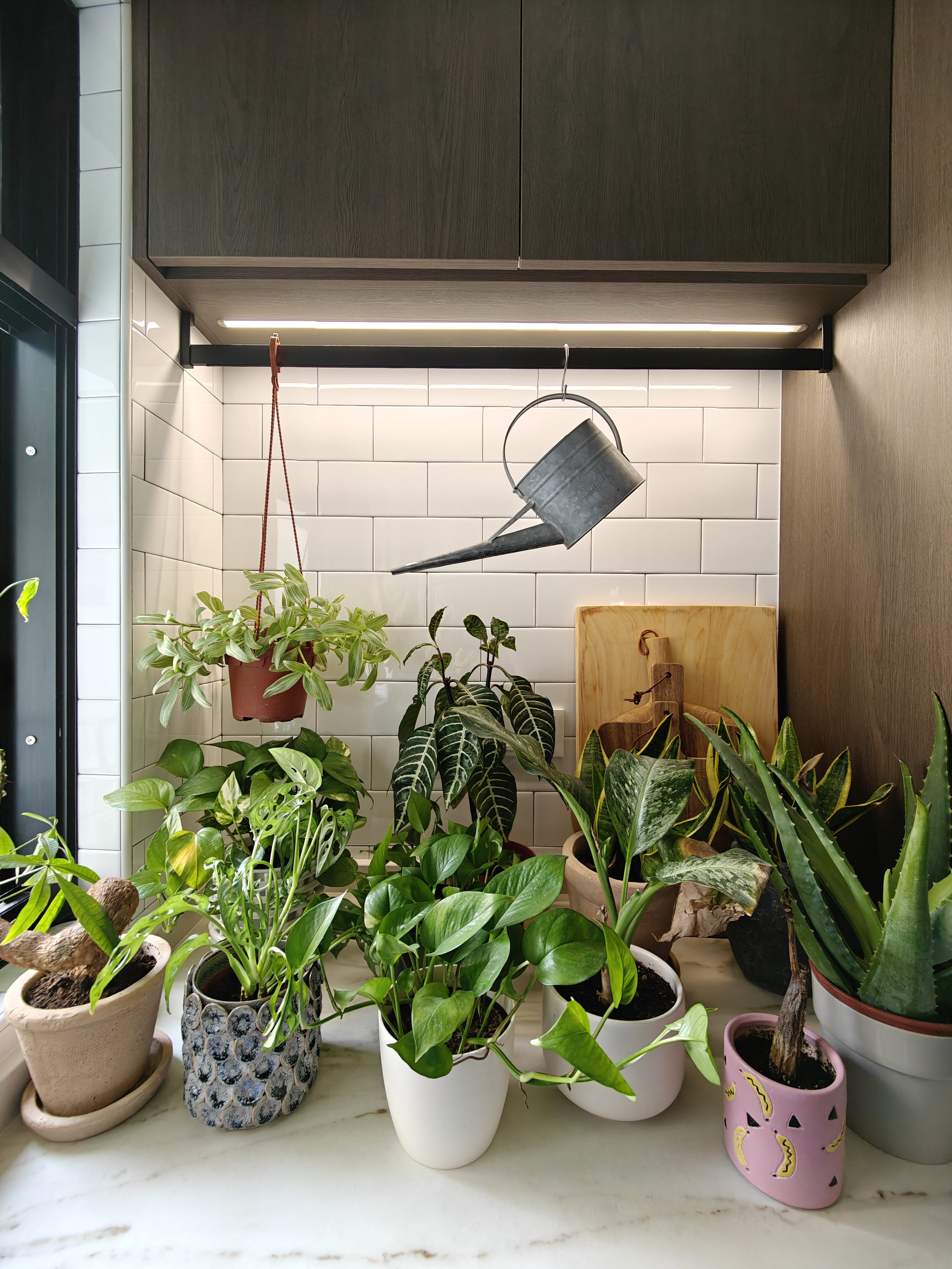 Confessions-of-a-Serial-Plant-Killer