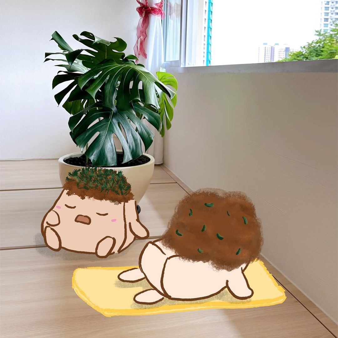 Take-a-peek-at-the-tofus'-tiny-plant-baby-collection-🌱