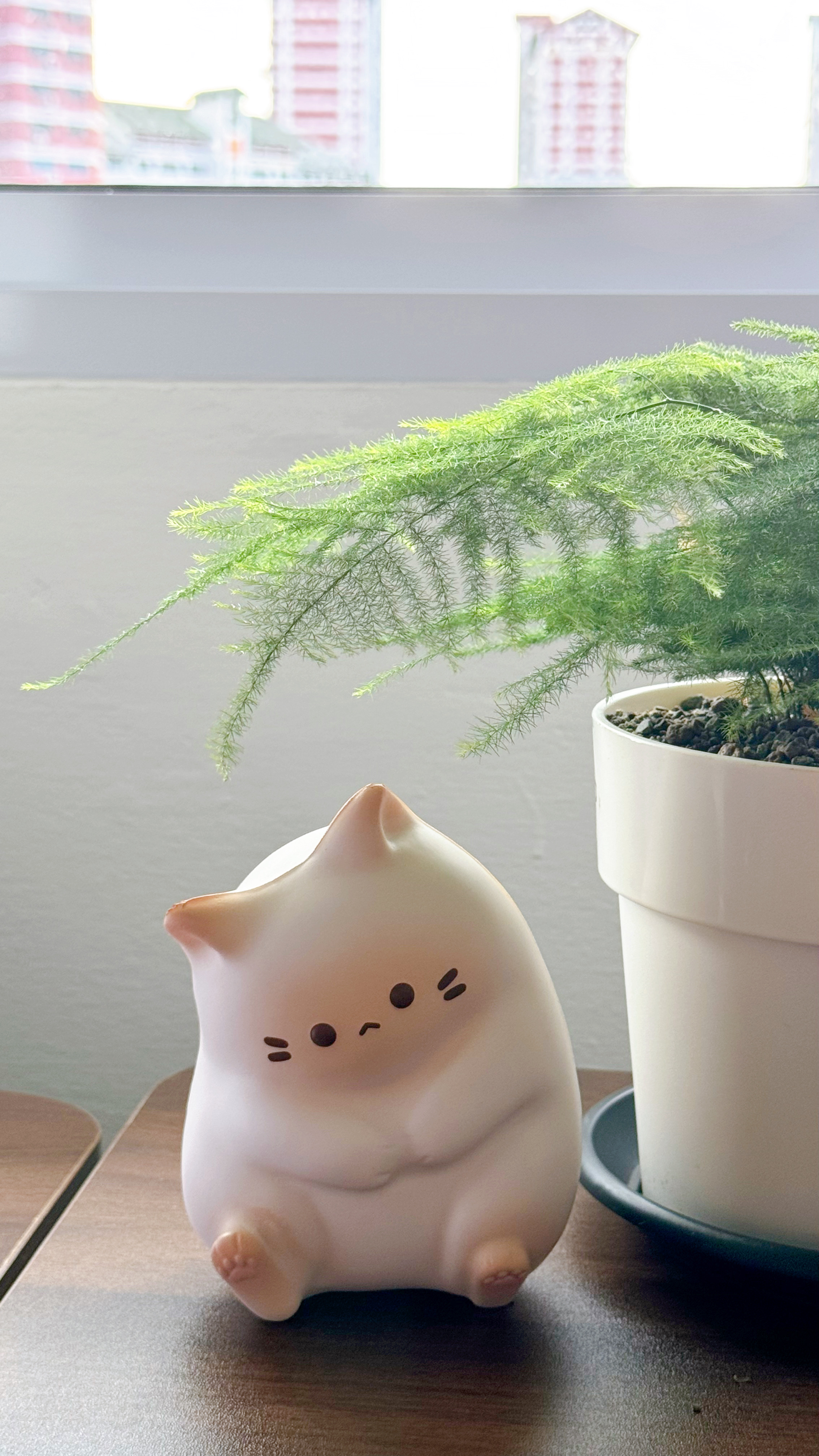 Take a peek at the tofus' tiny plant baby collection 🌱 - Cat-shaped ceramic figurine, white and pink, sitting on table