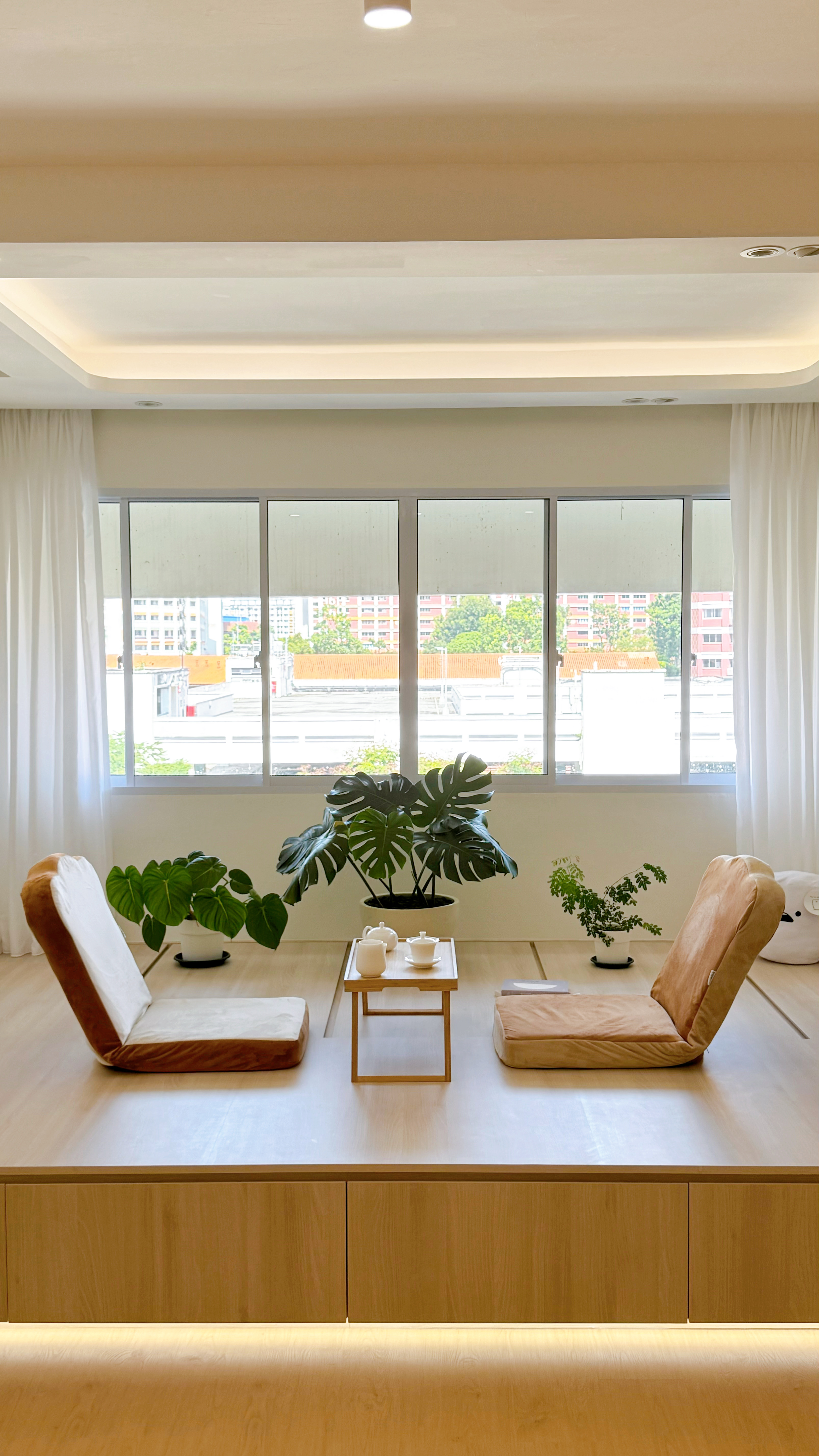 Take-a-peek-at-the-tofus'-tiny-plant-baby-collection-🌱