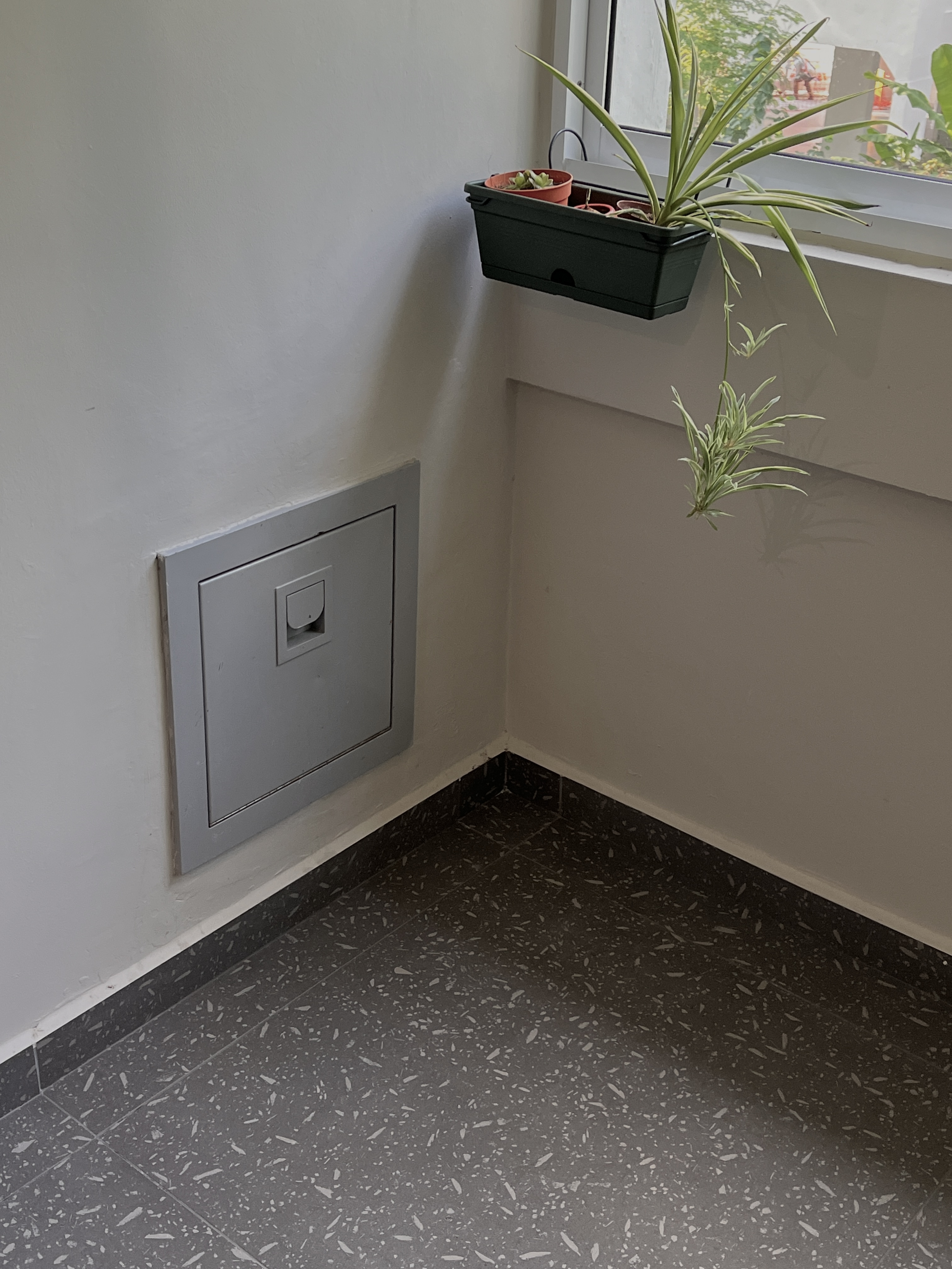 Service Yard: seamless extension of the kitchen - gray electrical box, white wall, small green plant, indoor garden, window