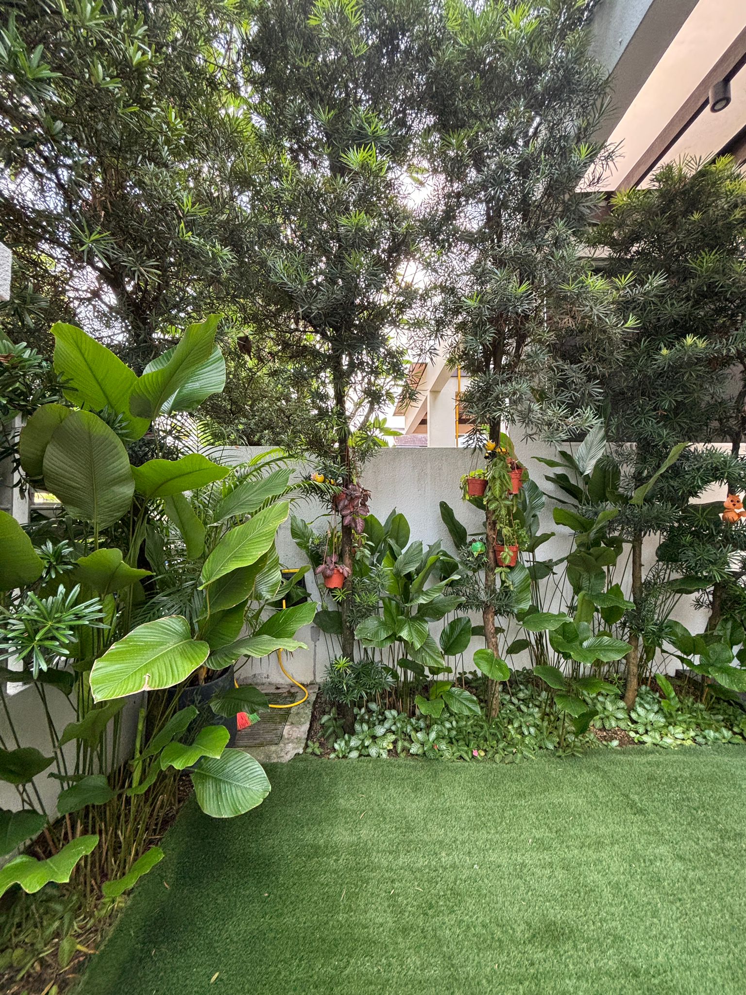 Creating a calming space with plants - Green tropical plants, lush foliage, large leaves, indoor garden, indoor plants