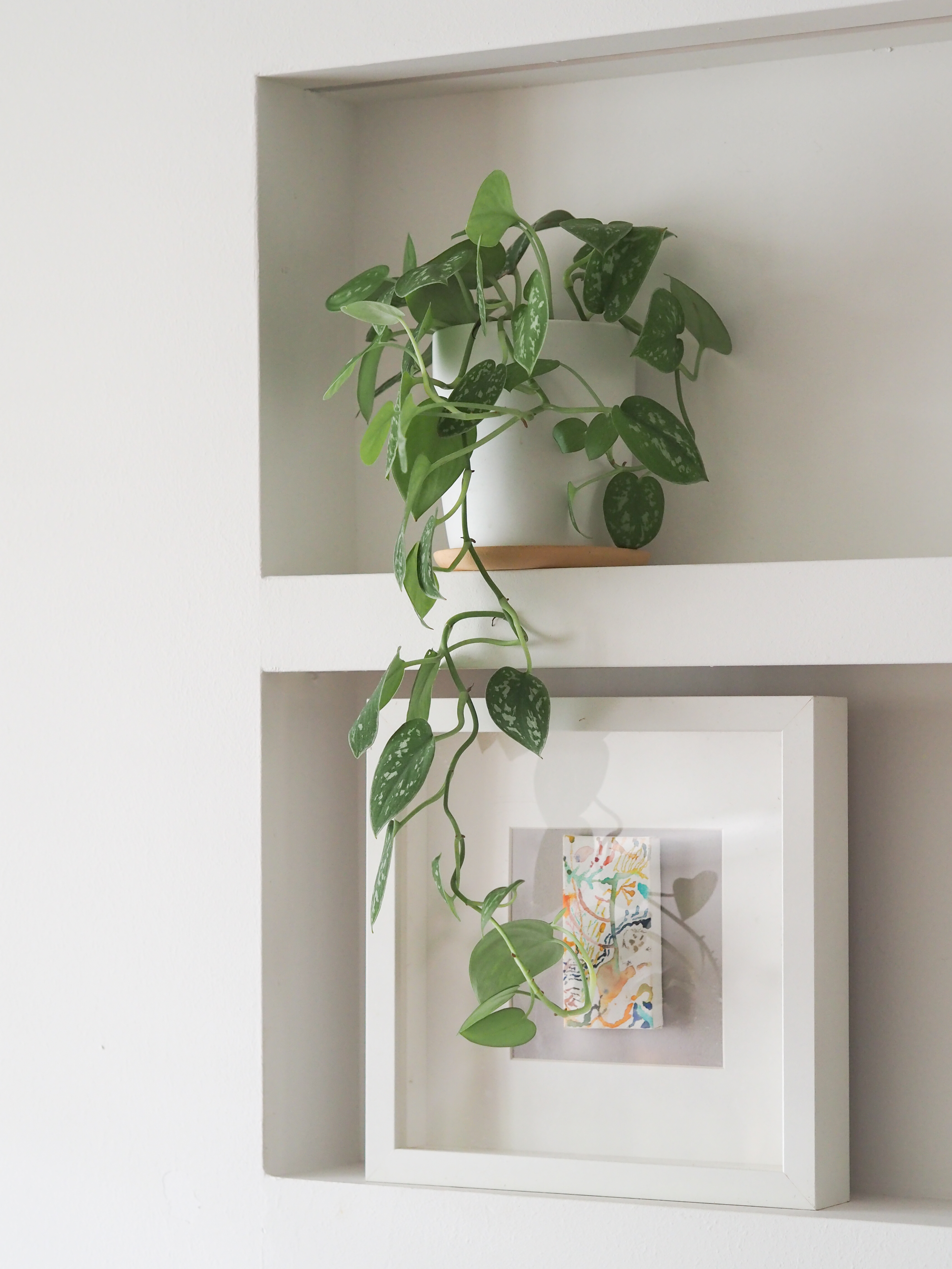 Our-living-room-with-no-built-in-carpentry-