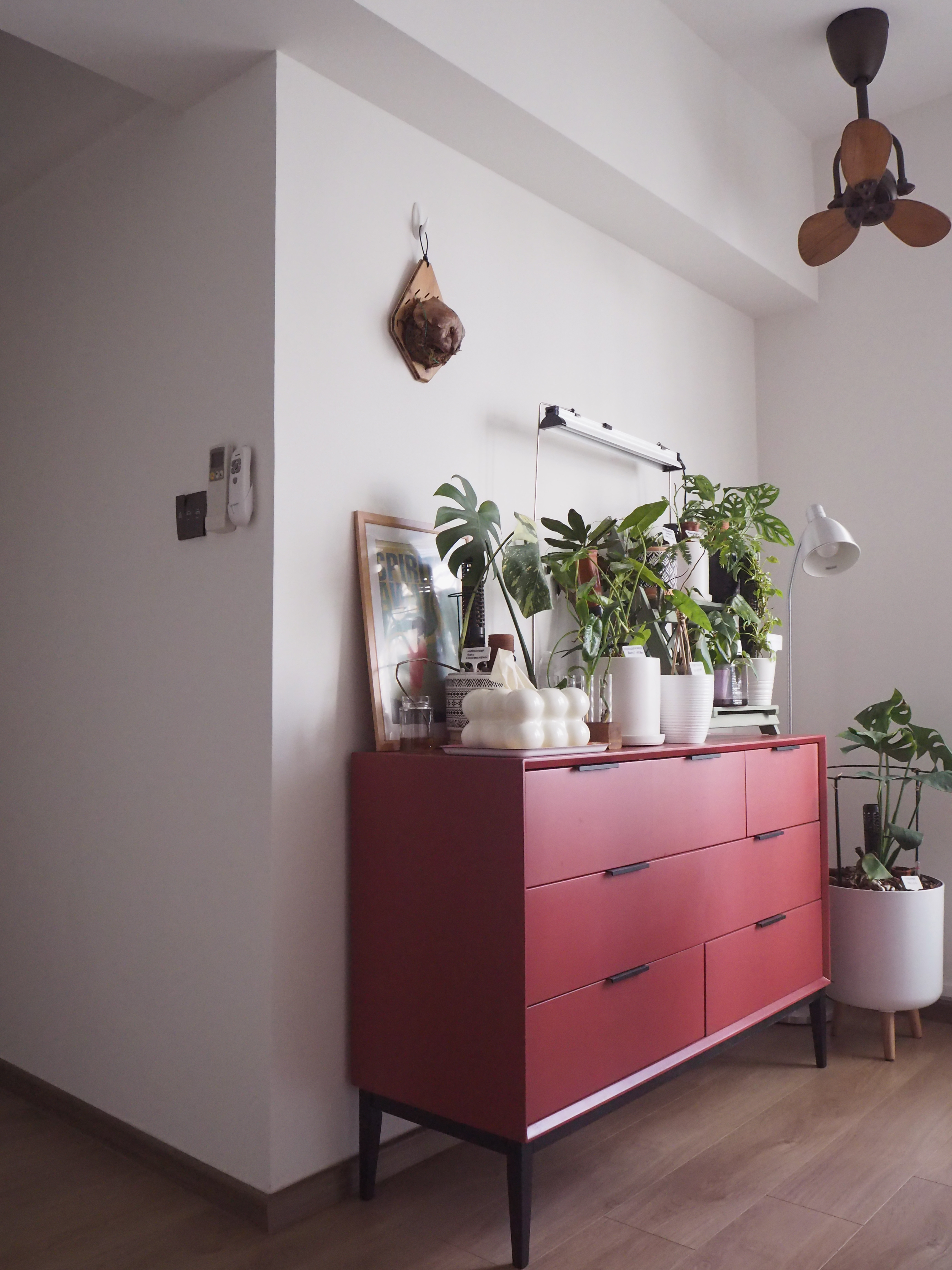 3 Simple Plant Parenting Tips! - Red dresser with black handles, white potted plants, wooden floor, white ceiling fan, modern