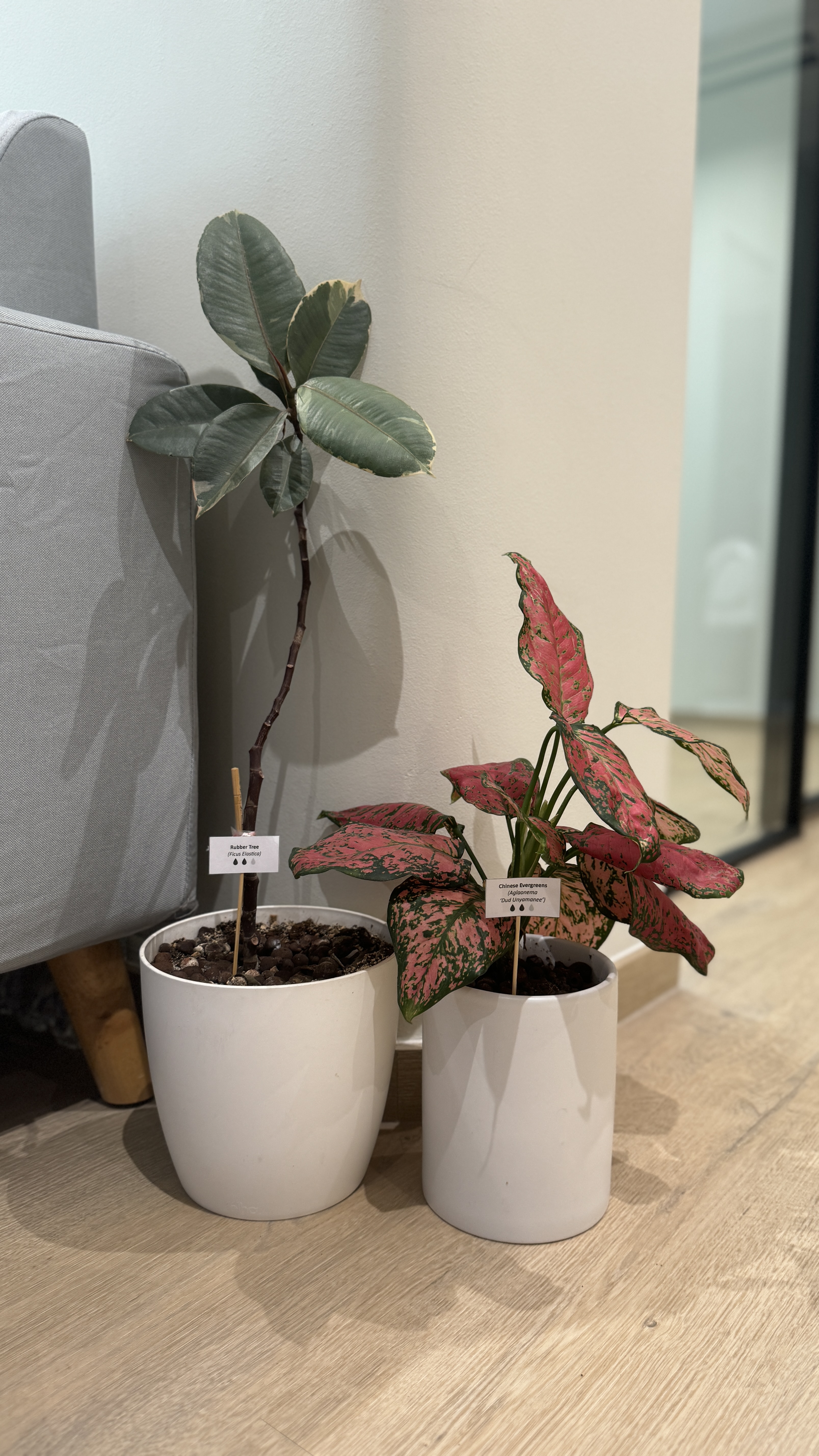 Curating-a-"Life-Giving"-Home