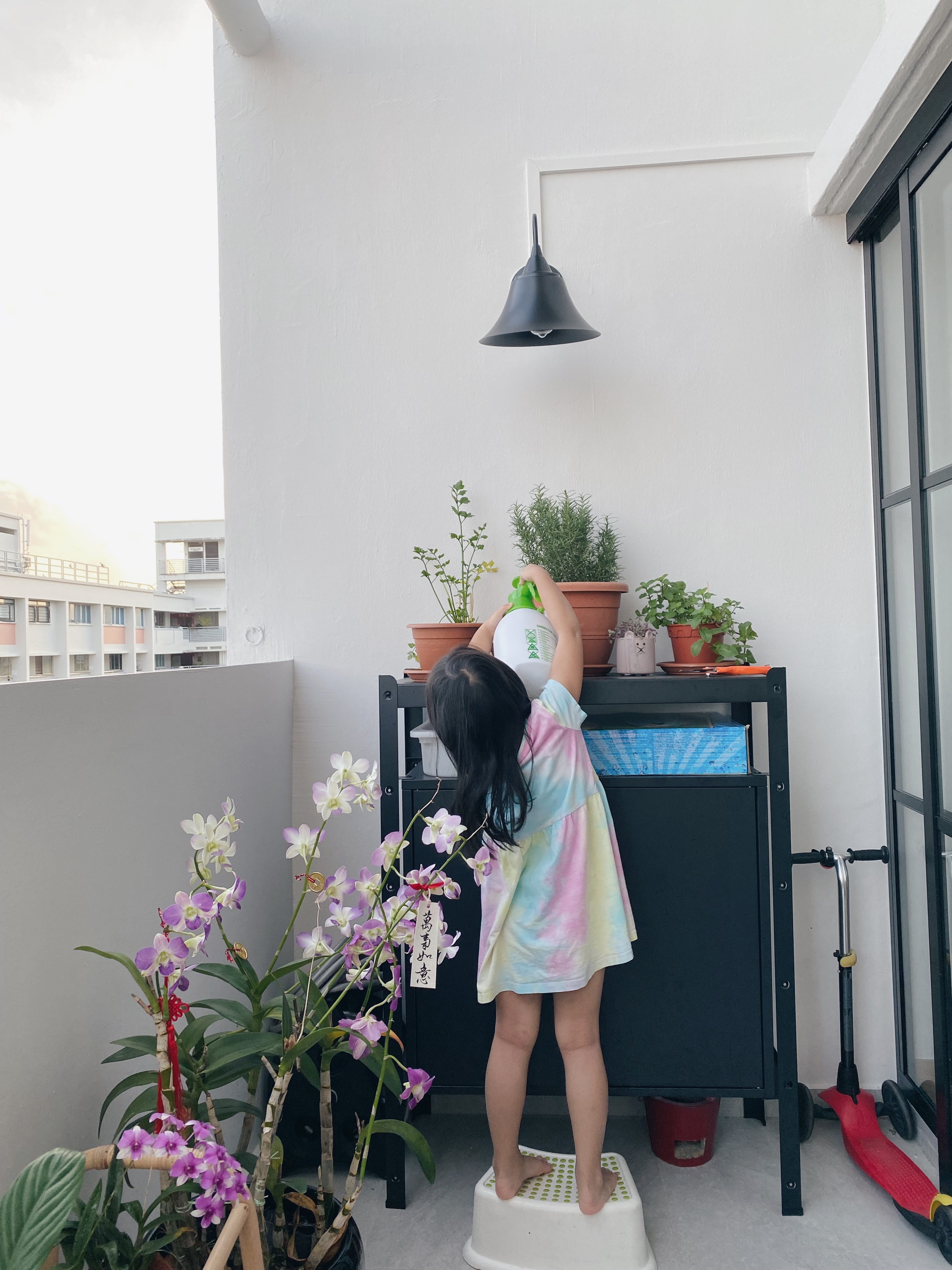 Our Balcony:🪴Little Space, Many Potential!☁️ - vibrant potted plants, child watering plants, colorful orchids, balcony